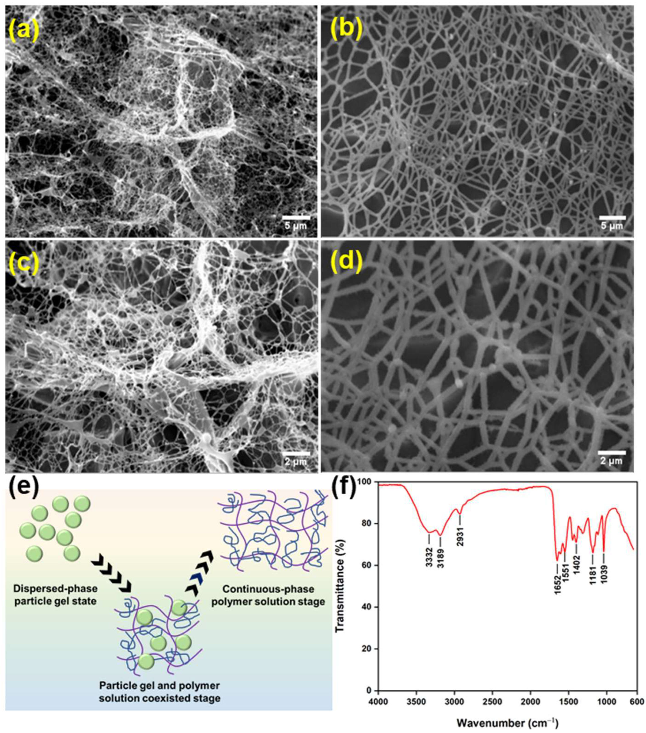 Nanomaterials 13 03101 g002