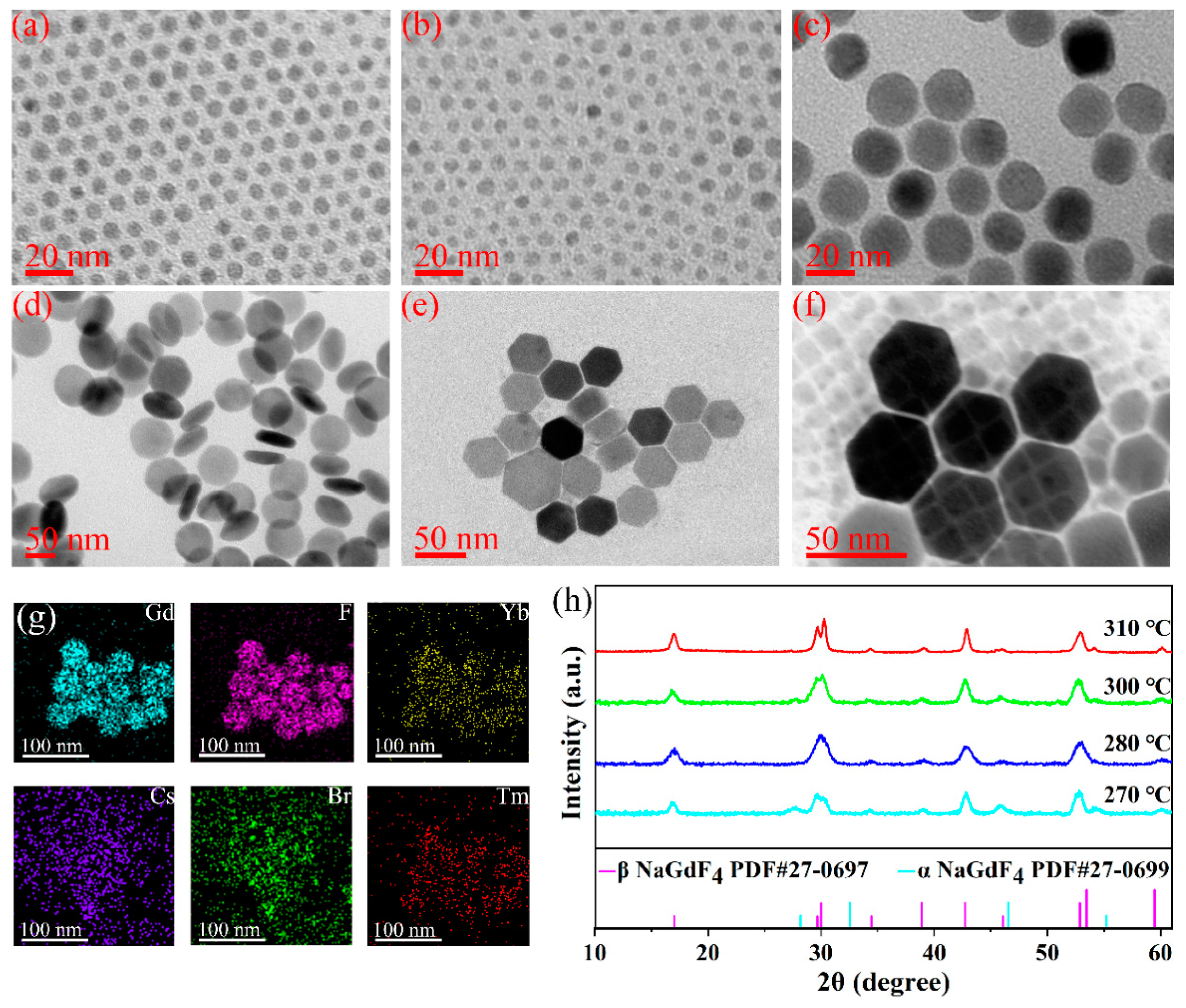 Nanomaterials 13 03102 g001