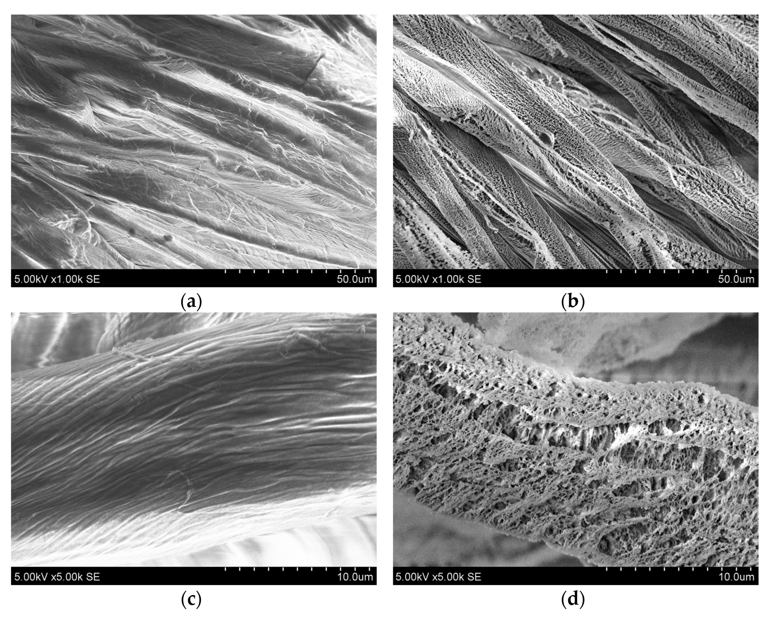 Nanomaterials 13 03106 g002