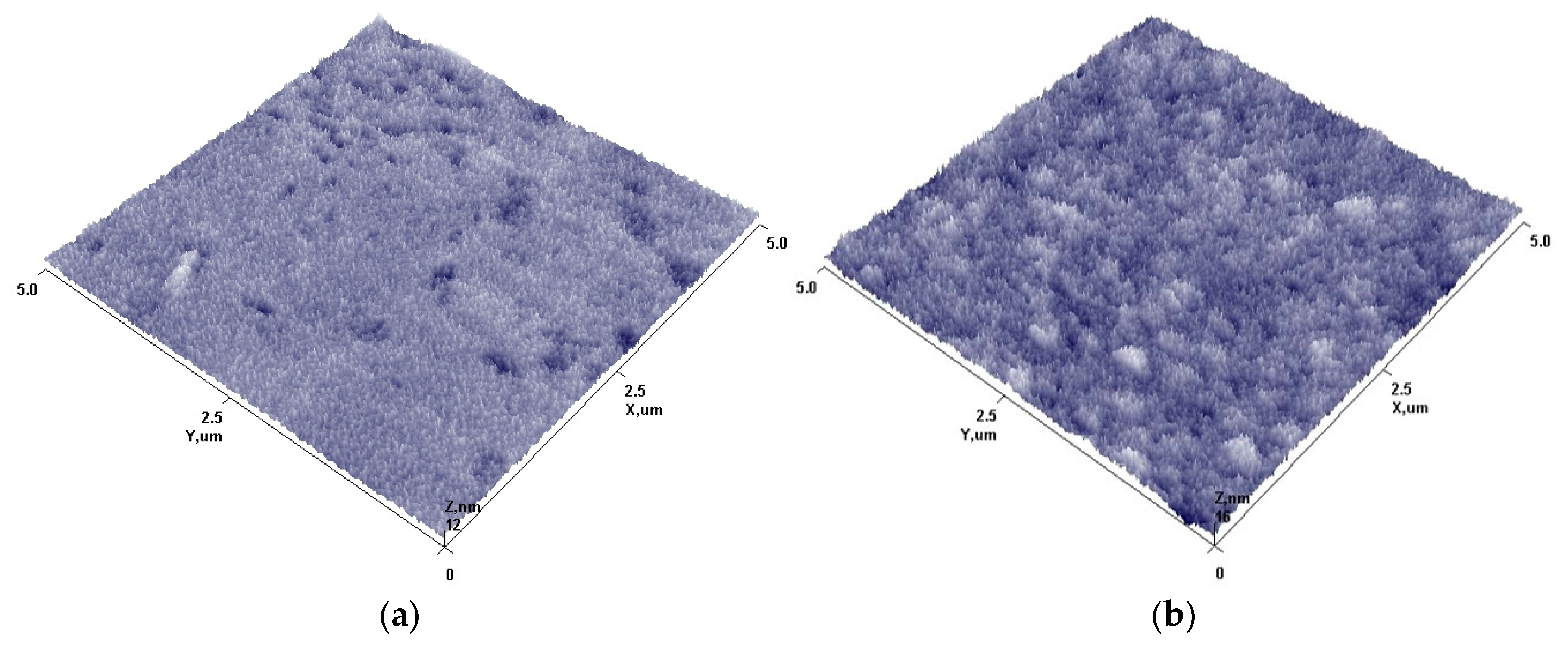 Nanomaterials 13 03106 g005