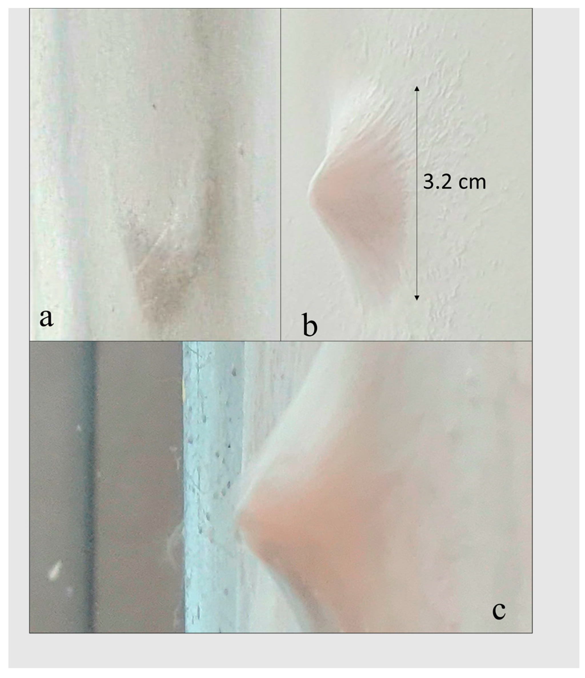 Nanomaterials 13 03107 g002