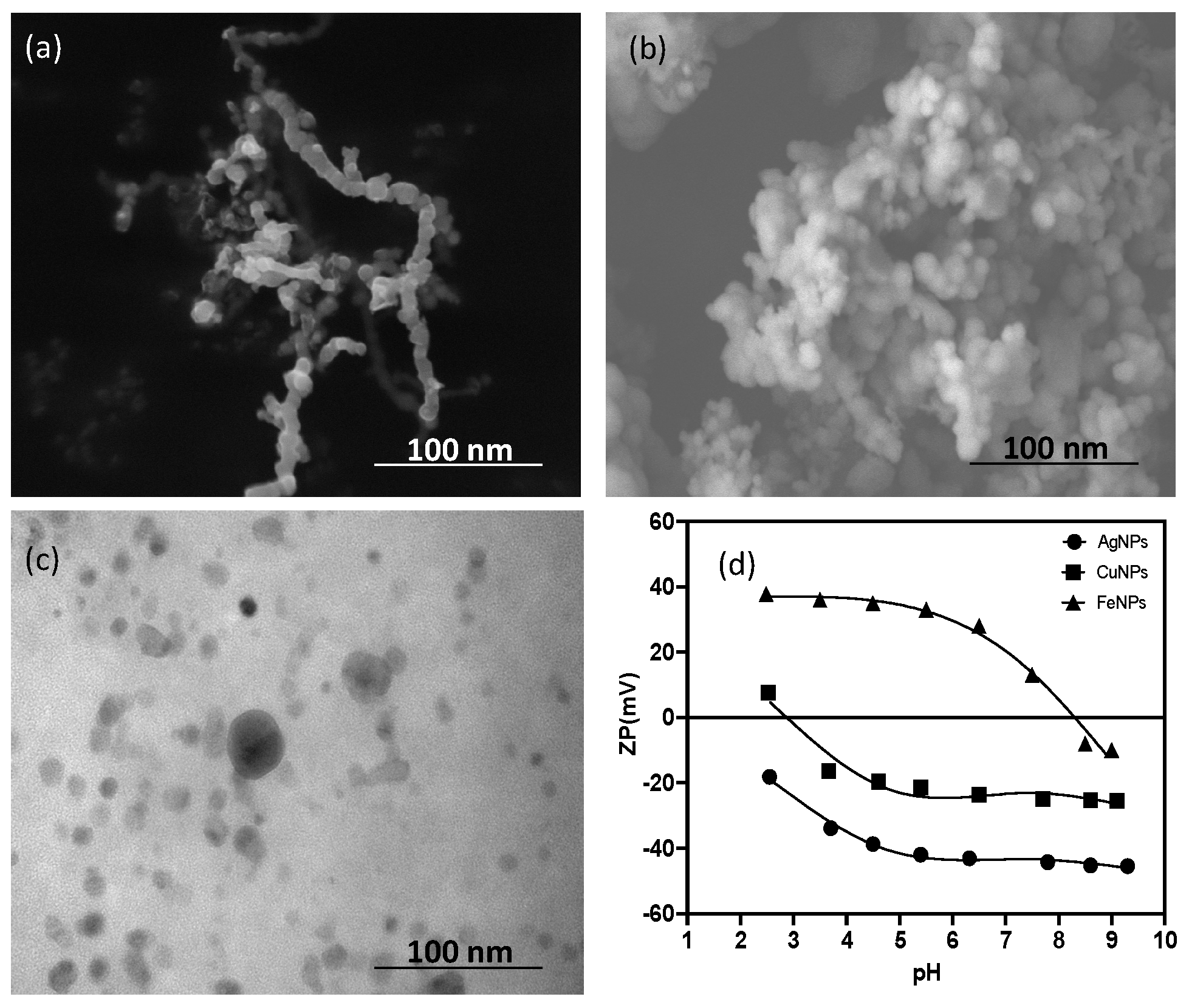 Nanomaterials 13 03115 g001