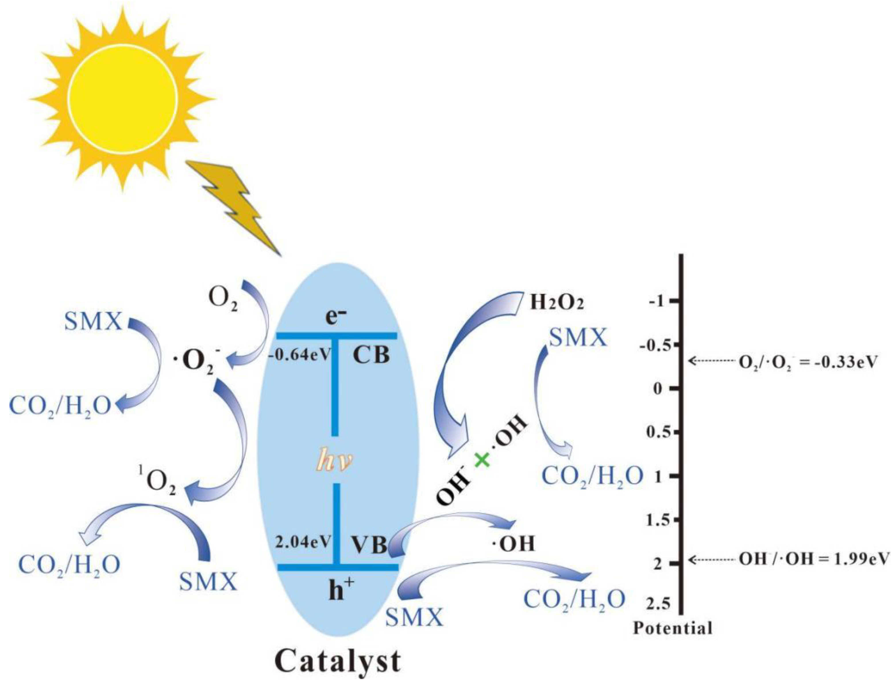 Nanomaterials 13 03116 g009
