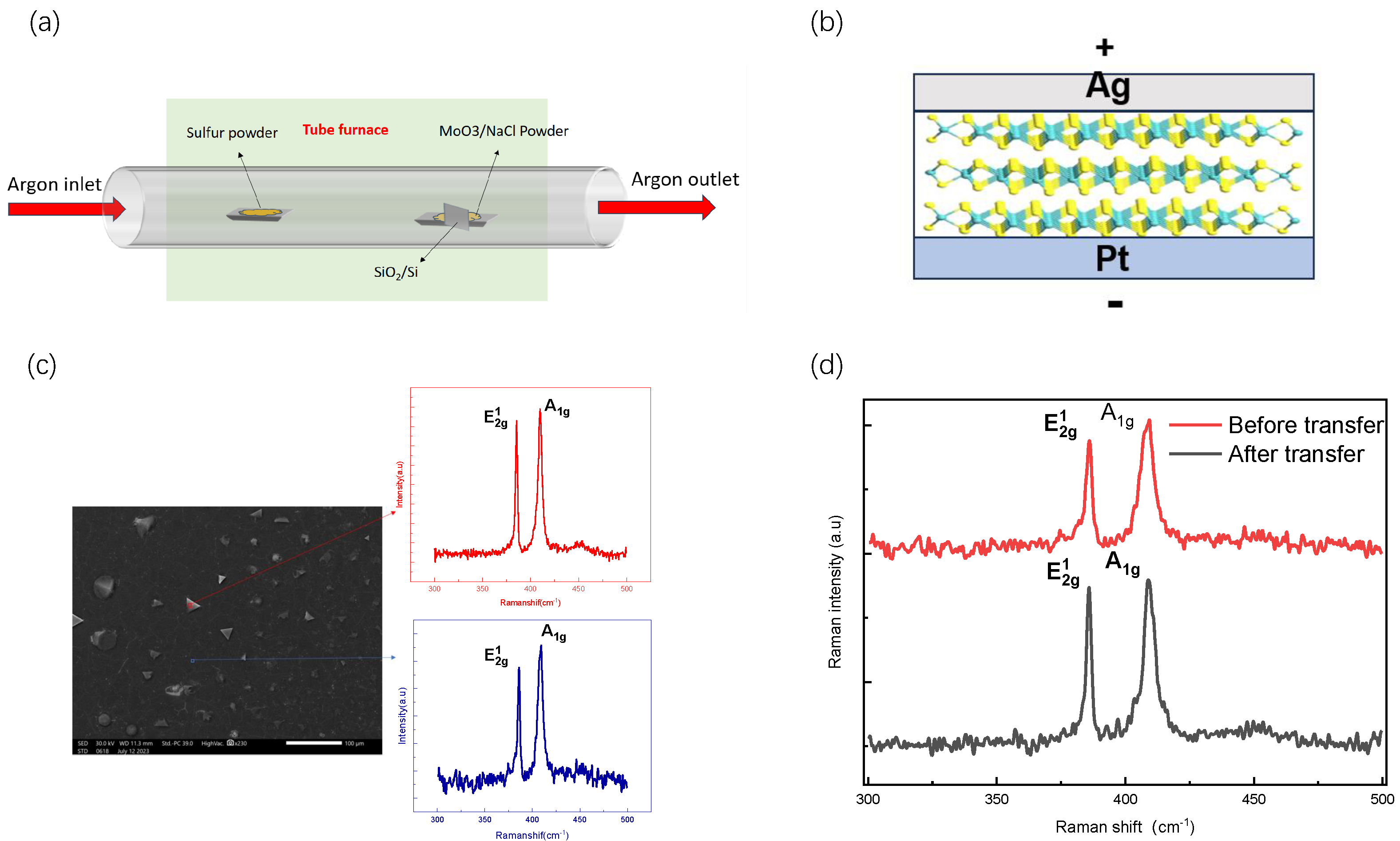 Nanomaterials 13 03117 g001