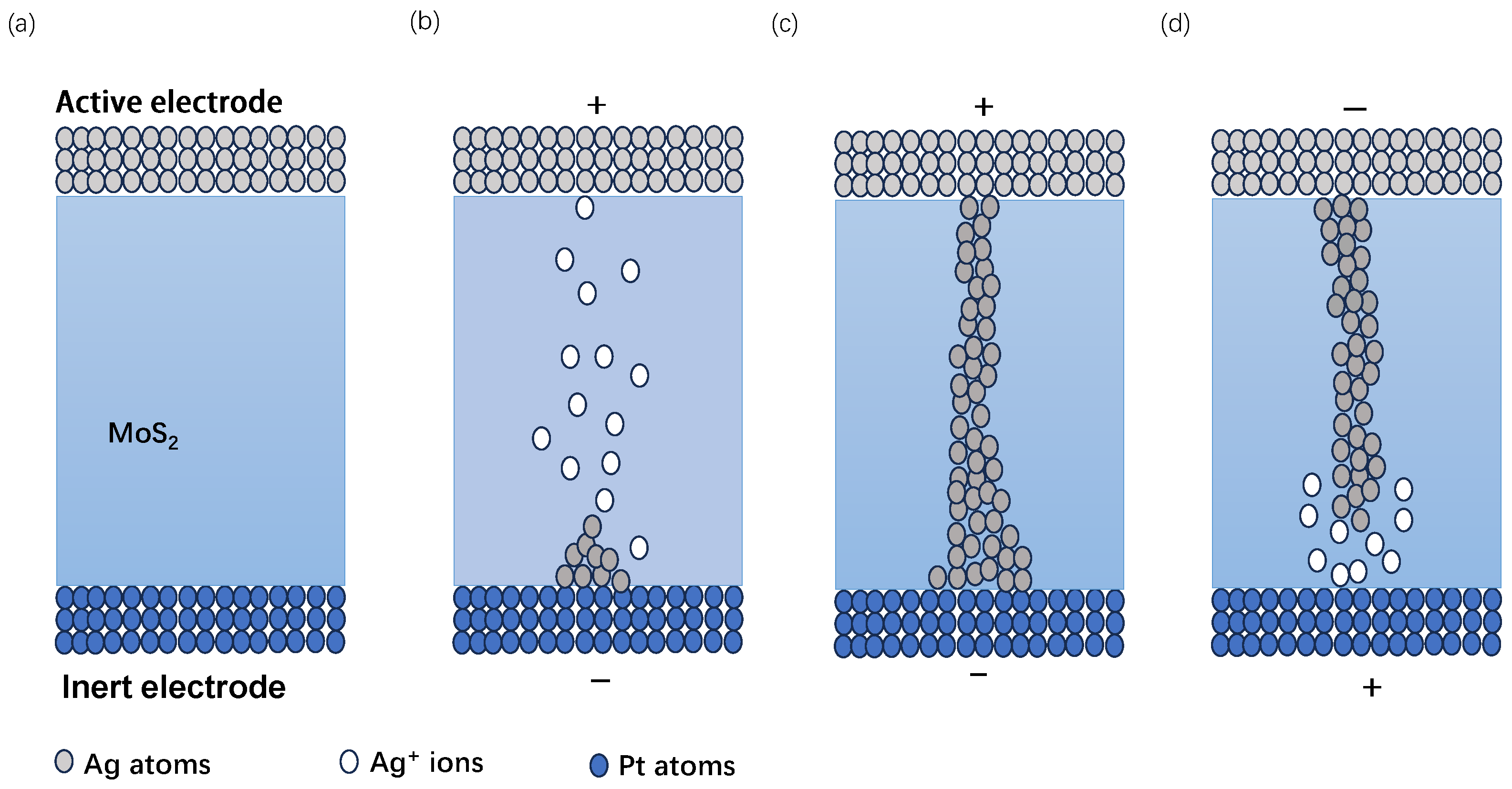 Nanomaterials 13 03117 g004