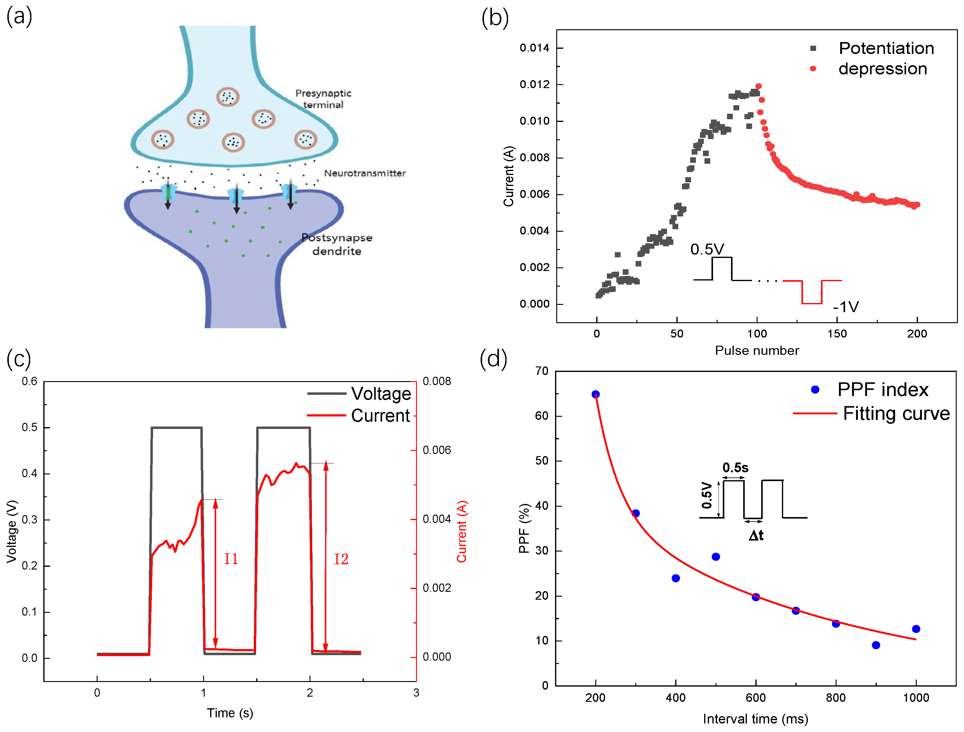 Nanomaterials 13 03117 g006