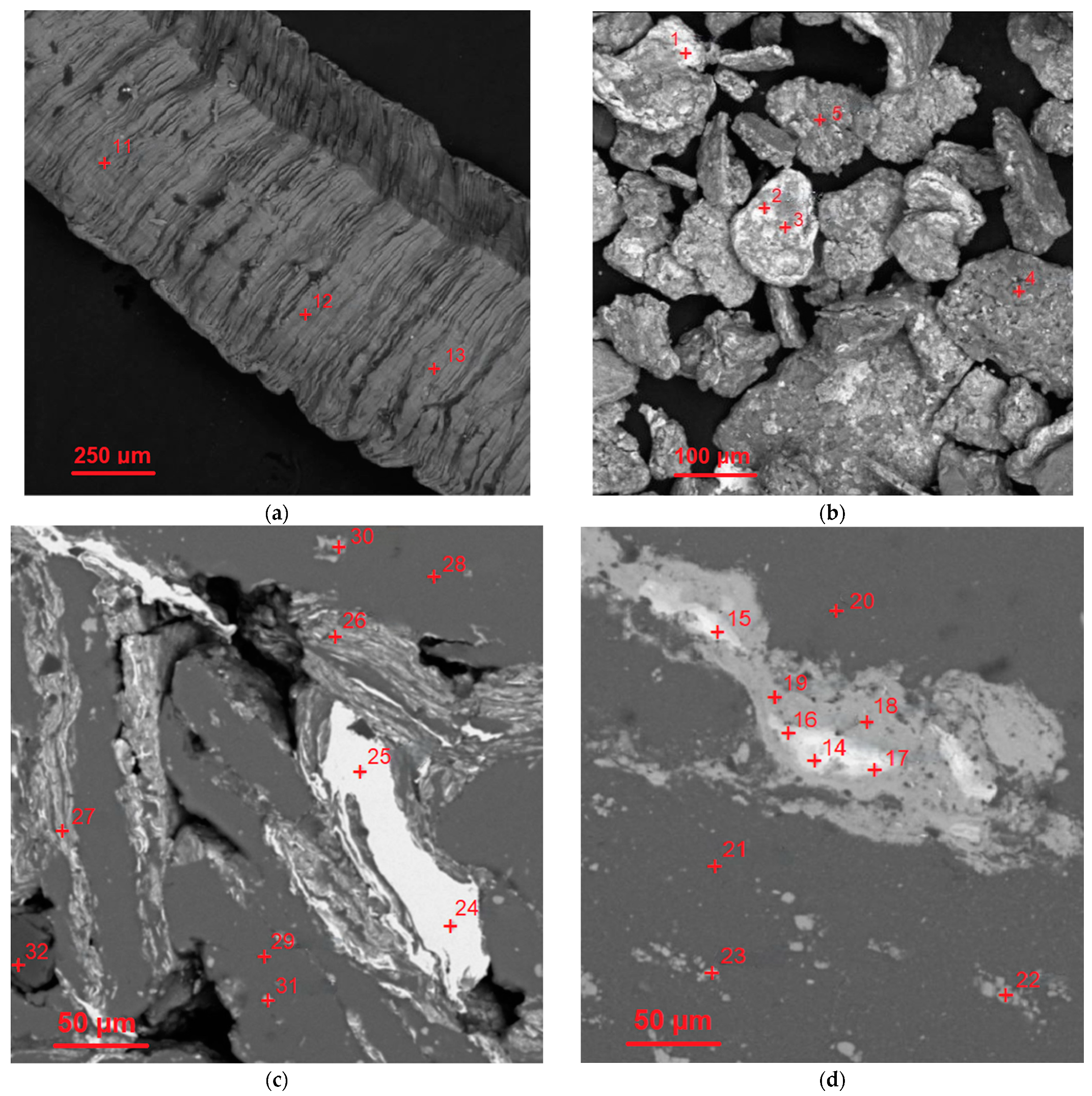 Nanomaterials 13 03118 g004