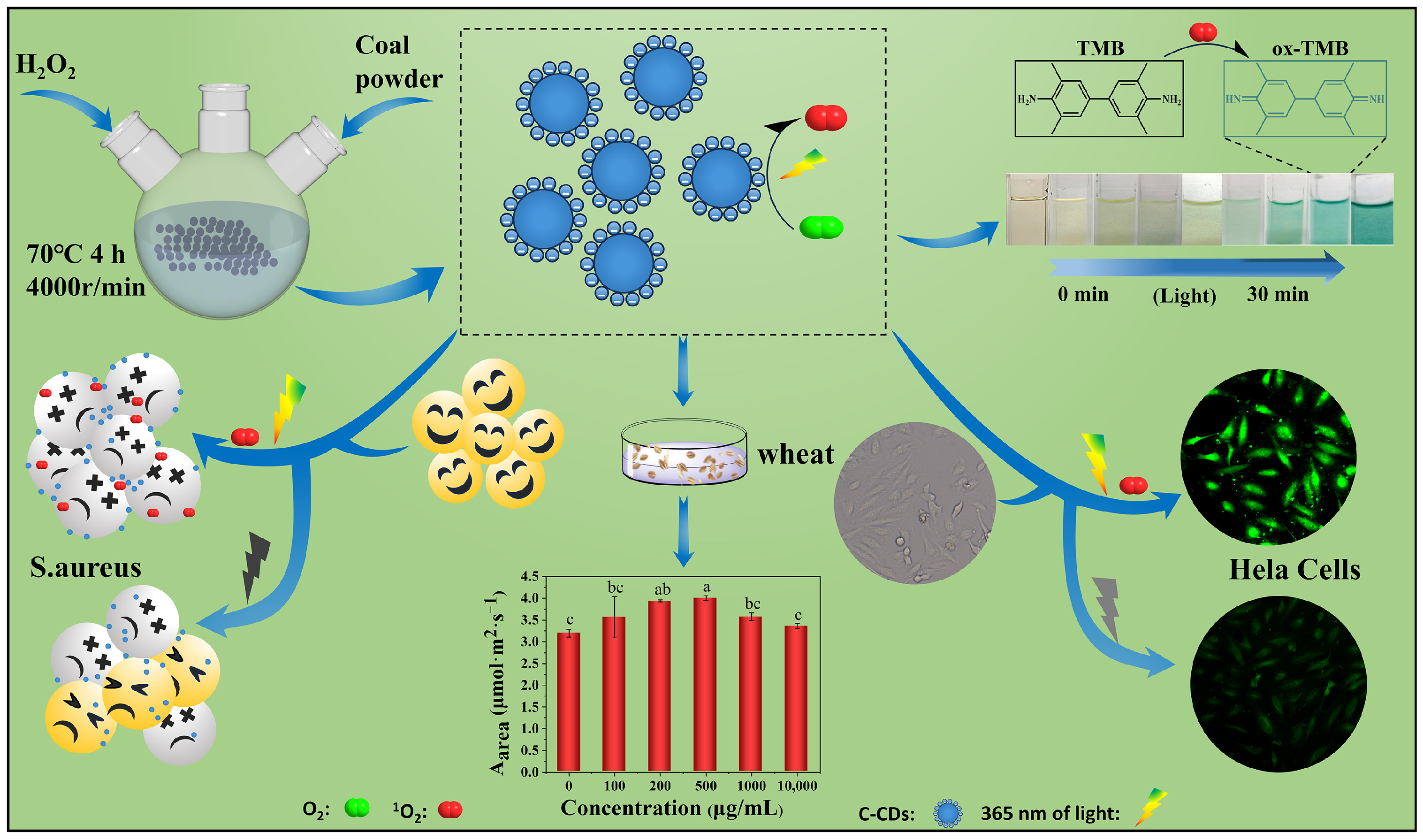 Nanomaterials 13 03122 g001