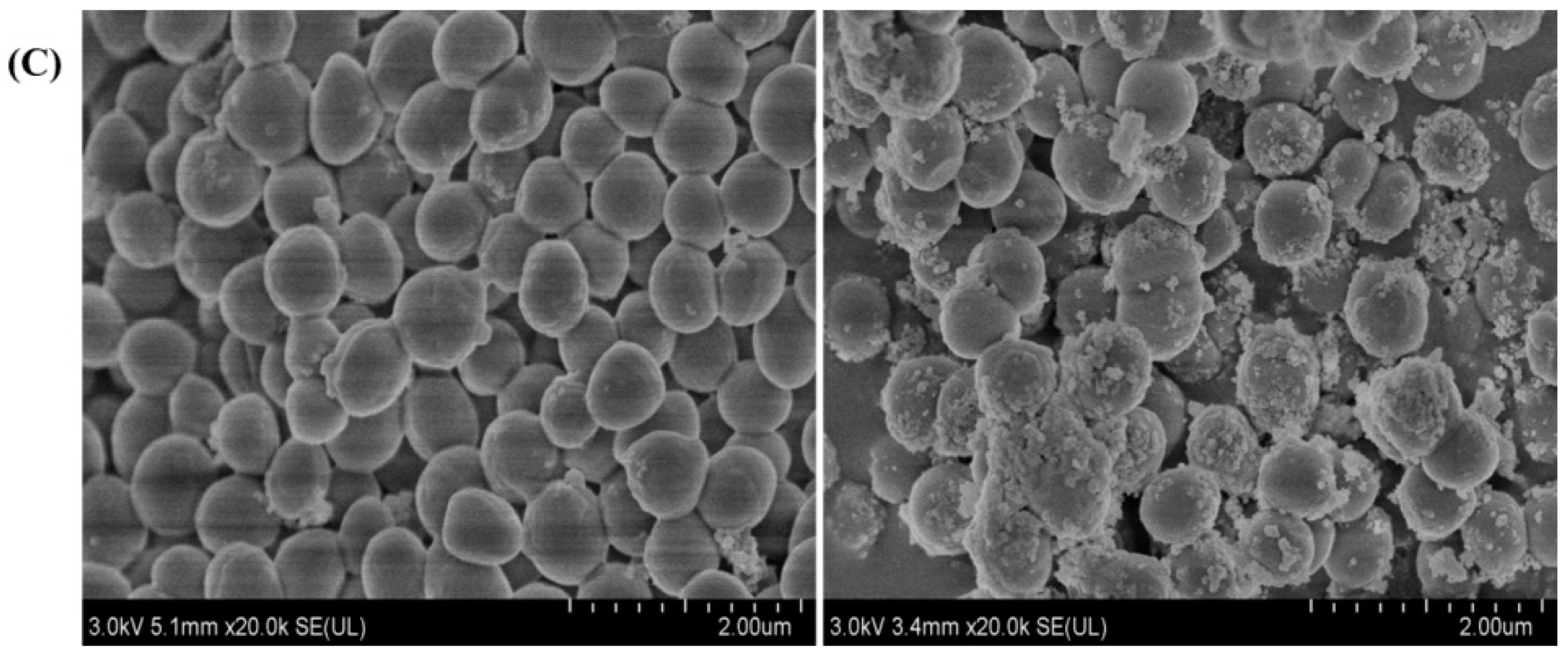 Nanomaterials 13 03122 g007b