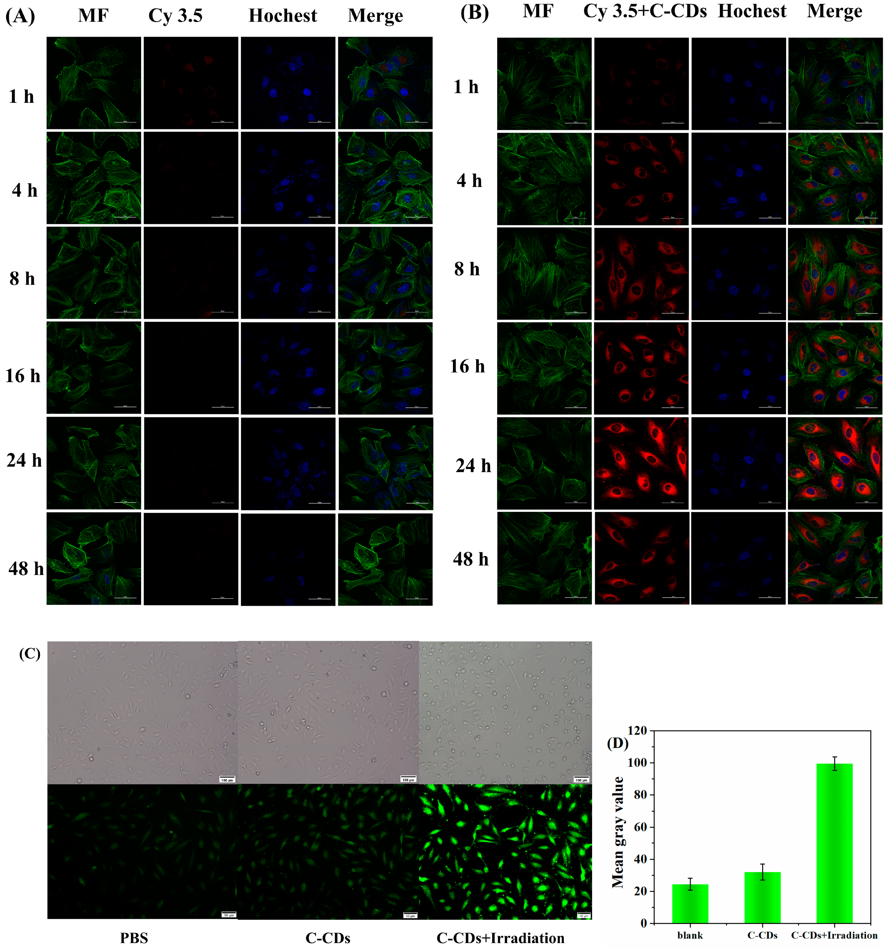Nanomaterials 13 03122 g009