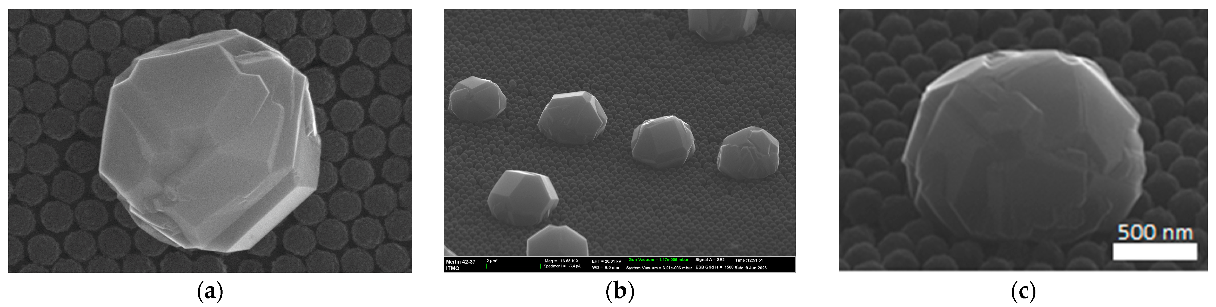 Nanomaterials 13 03124 g001