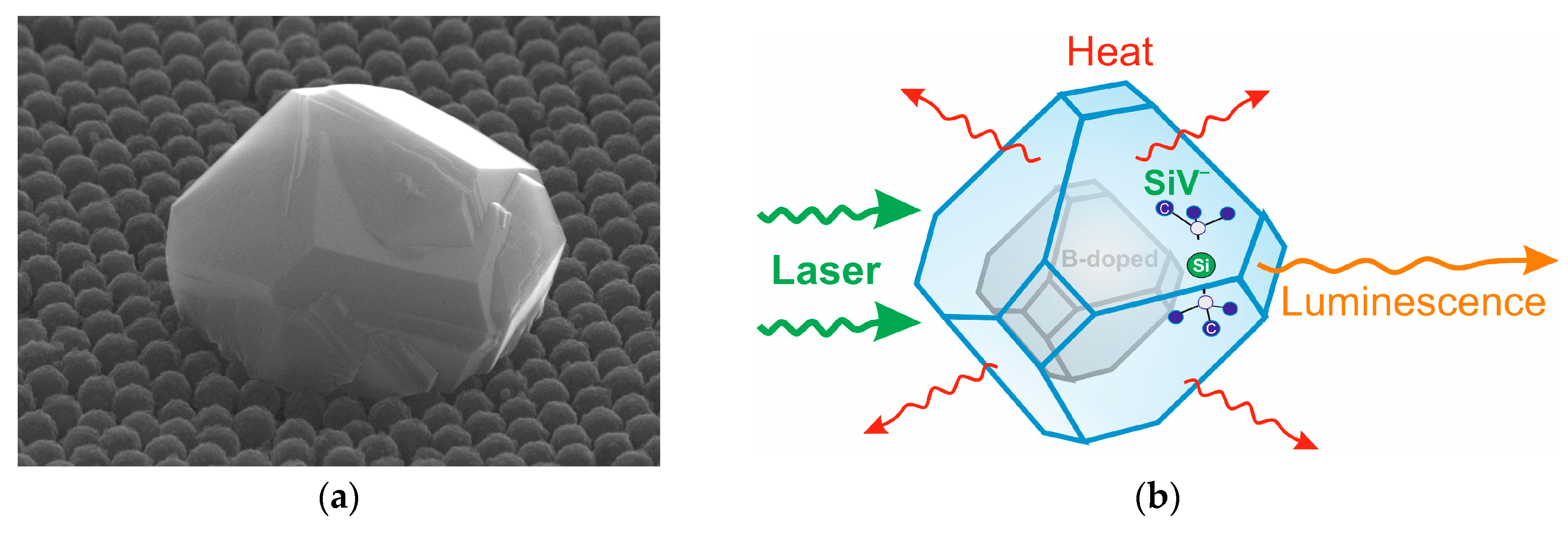 Nanomaterials 13 03124 g002