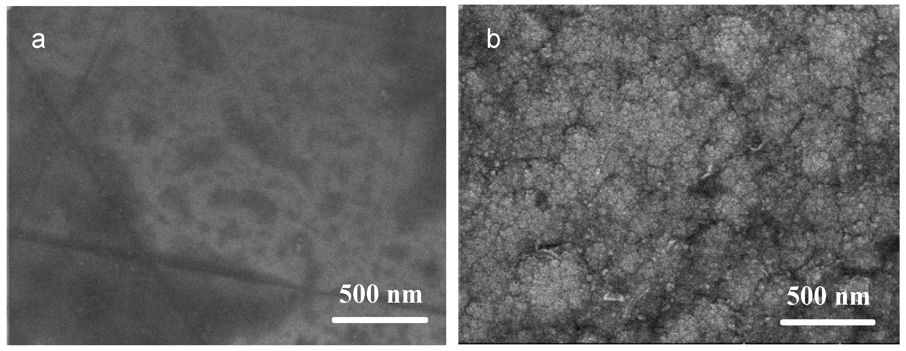 Nanomaterials 13 03129 g001