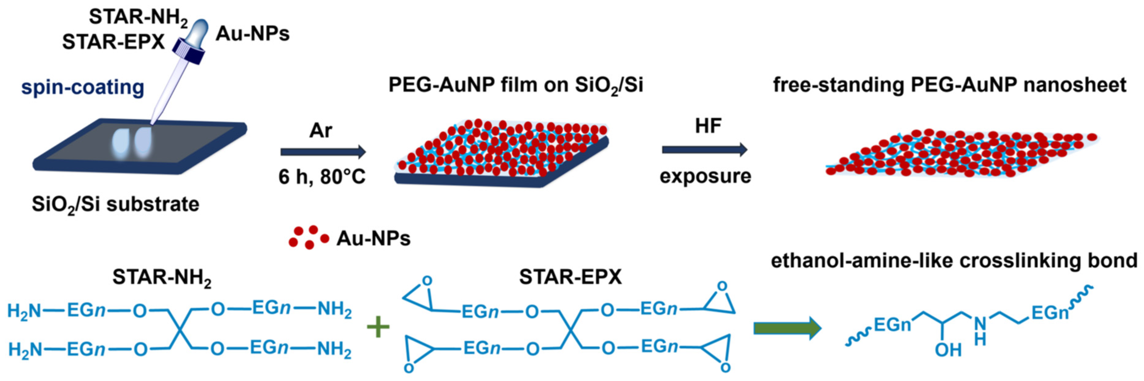 Nanomaterials 13 03137 g001
