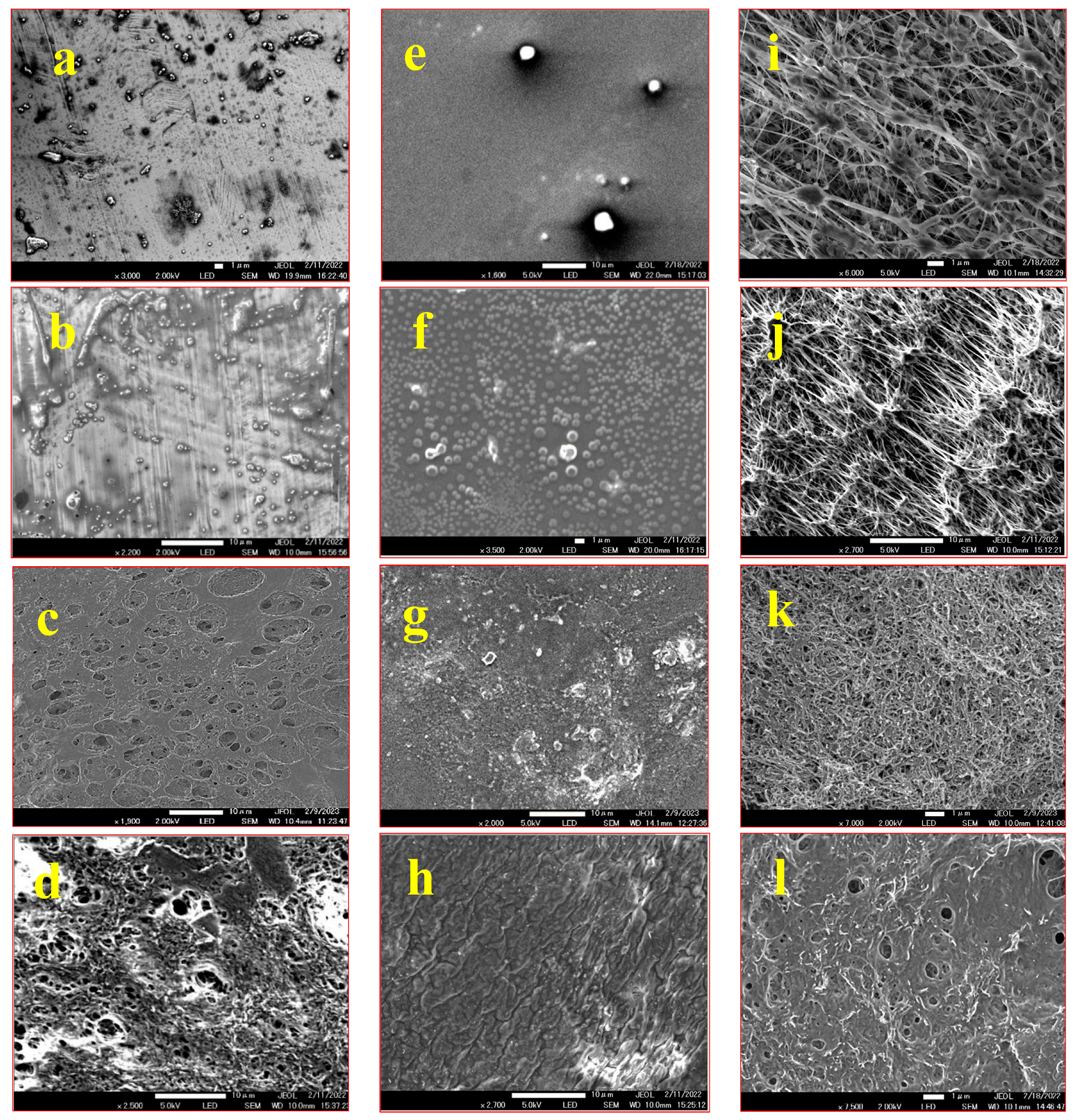Nanomaterials 13 03138 g003 Nanomaterials 13 03138 g003