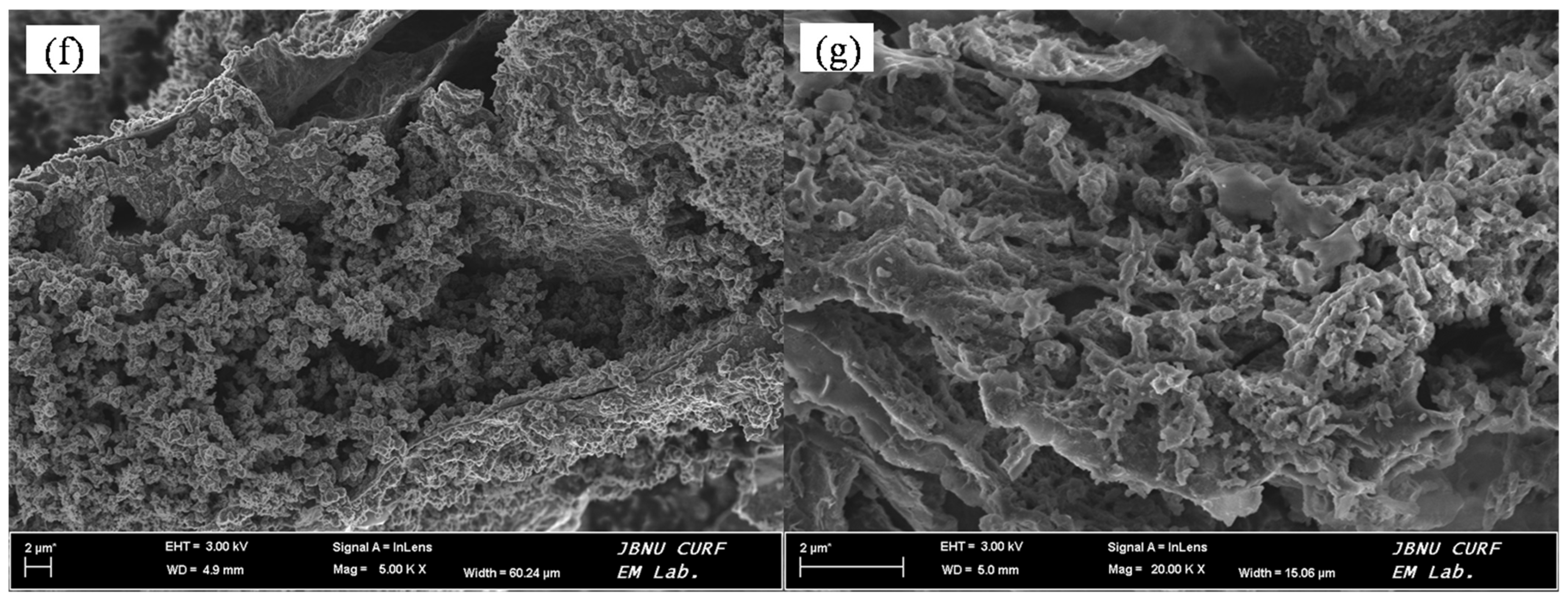 Nanomaterials 13 03140 g005b