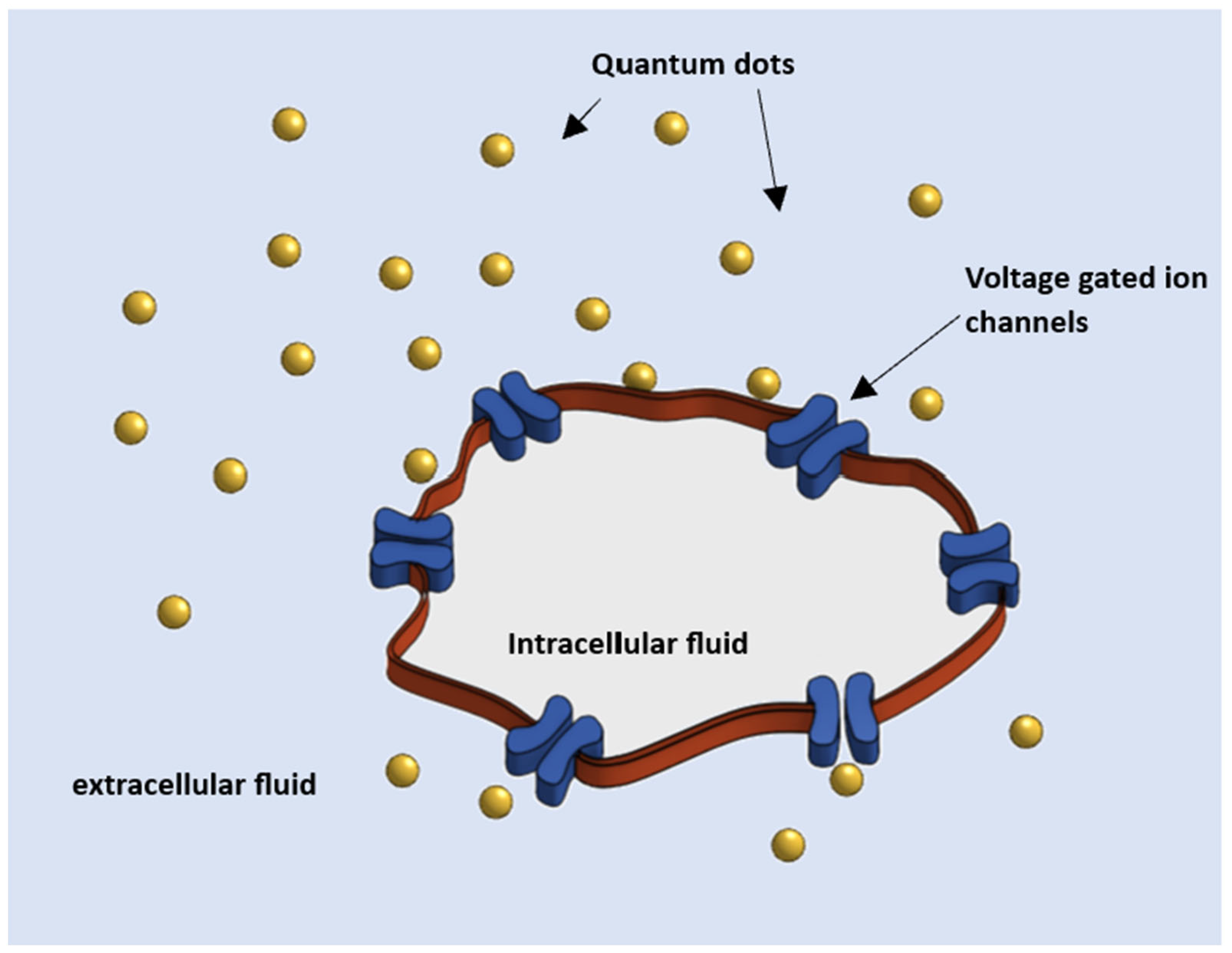 Nanomaterials 13 03143 g001