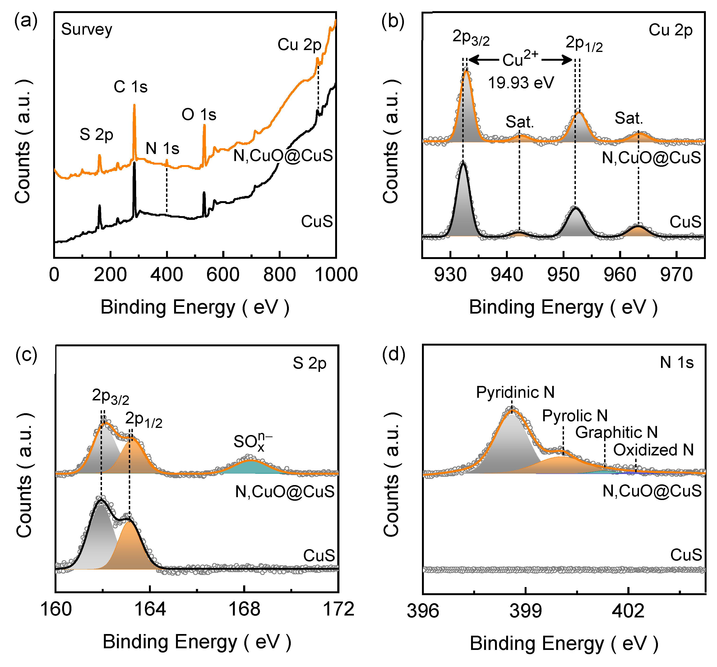 Nanomaterials 13 03160 g003