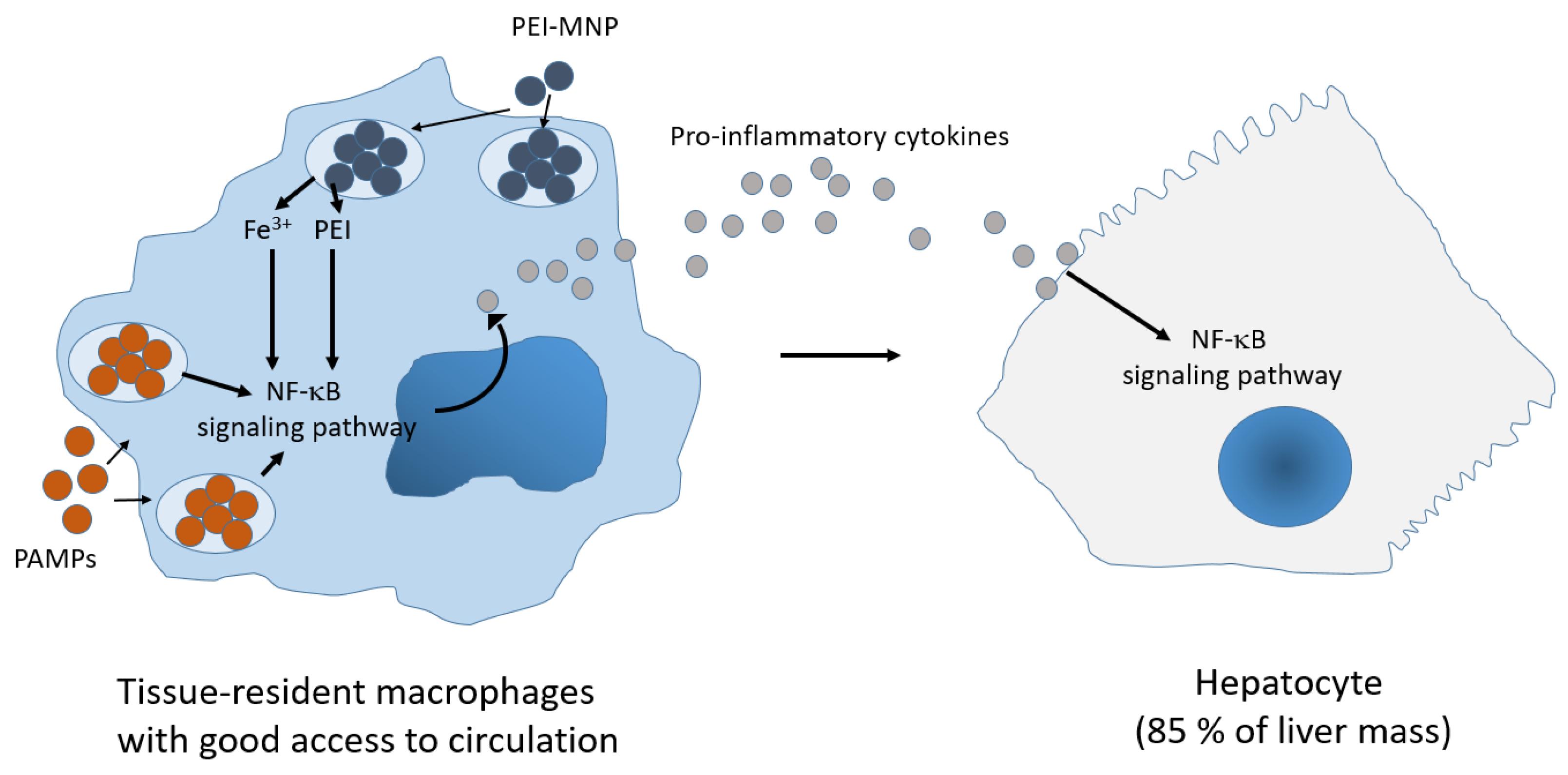 Nanomaterials 13 03166 g007