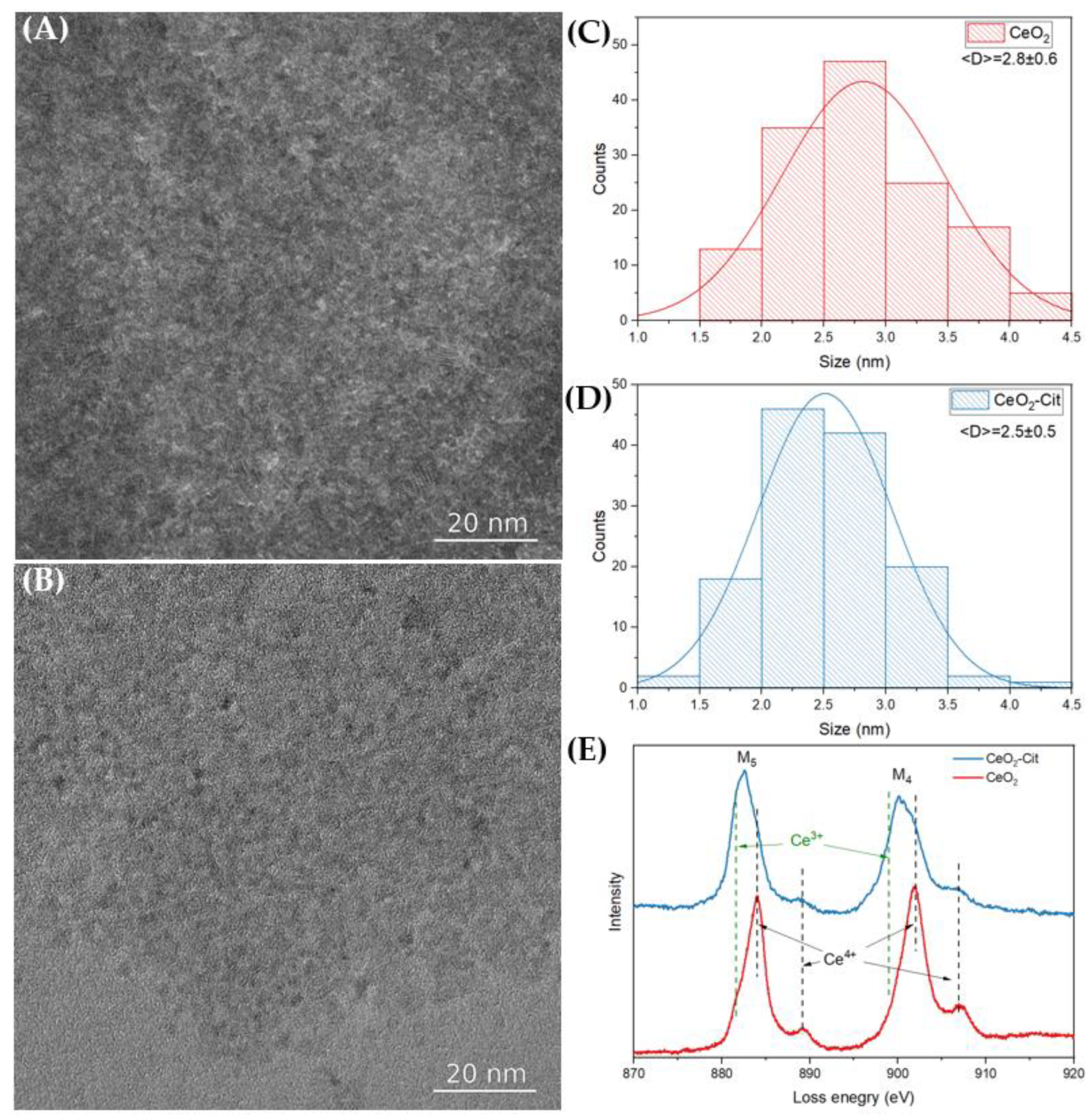 Nanomaterials 13 03168 g003