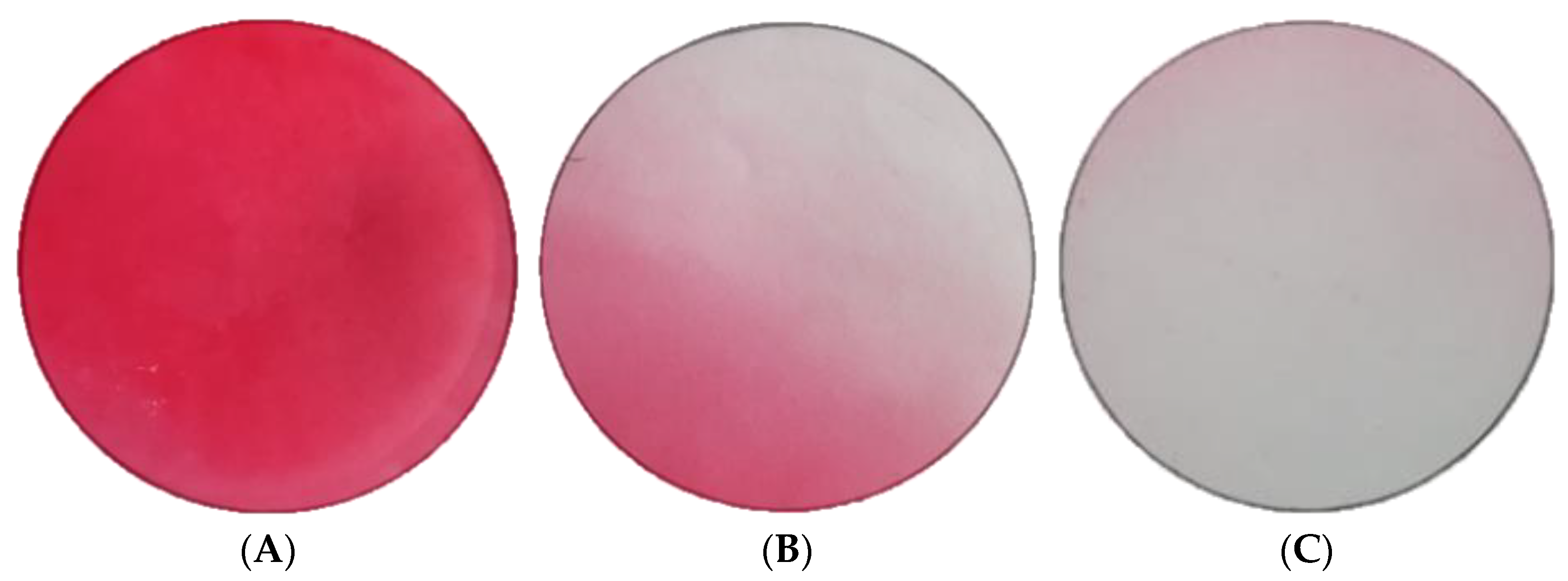 Nanomaterials 13 03168 g004