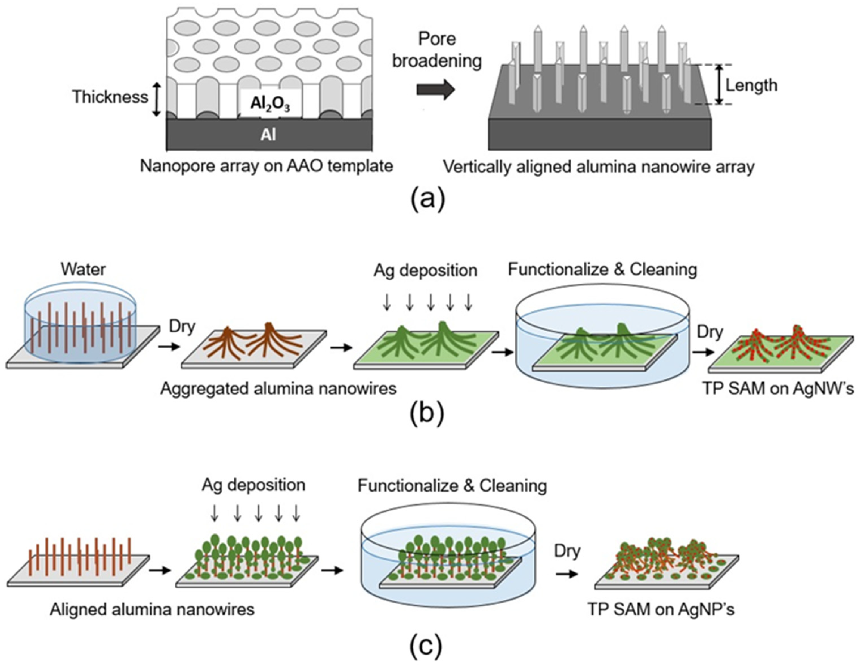 Nanomaterials 13 03169 g001