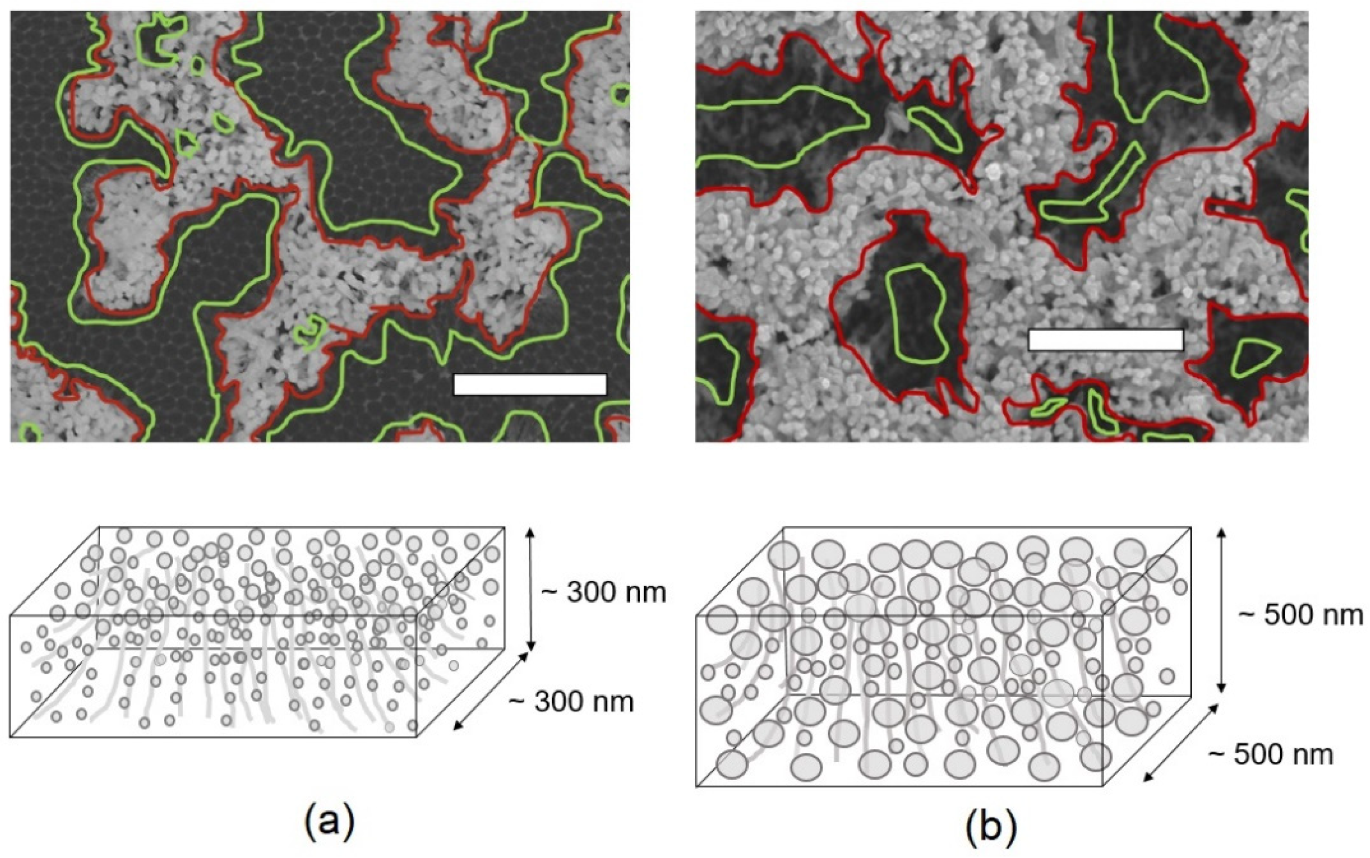 Nanomaterials 13 03169 g008