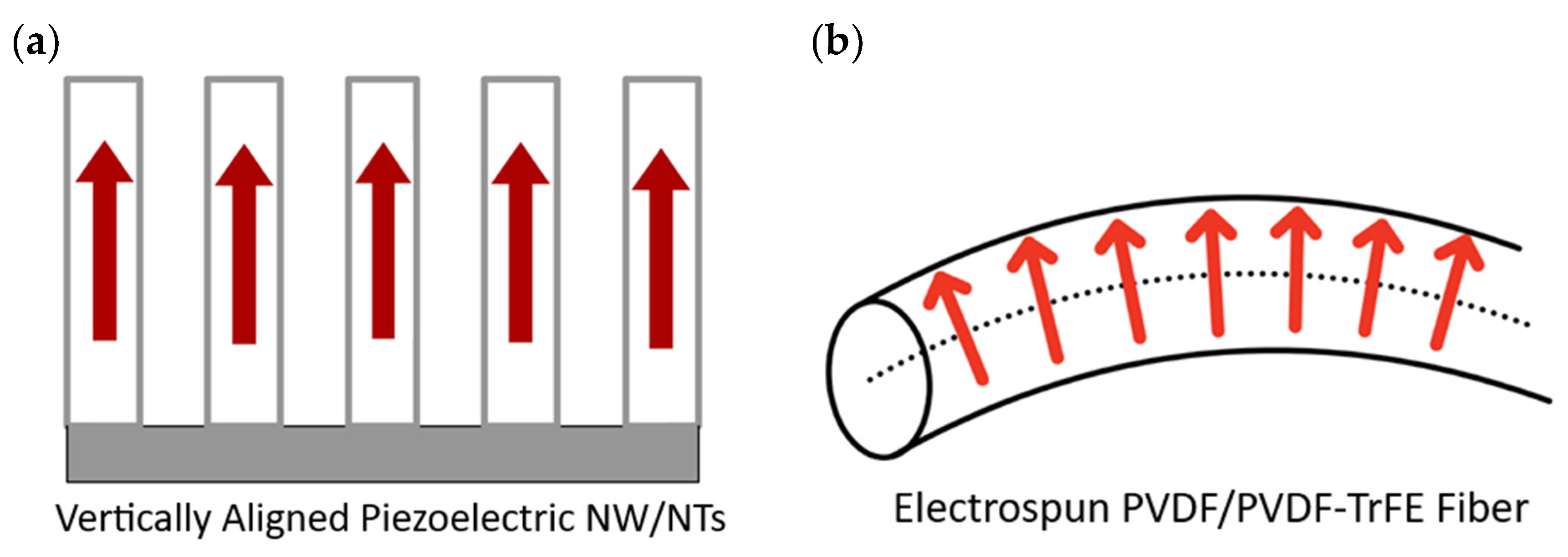 Nanomaterials 13 03170 g006a