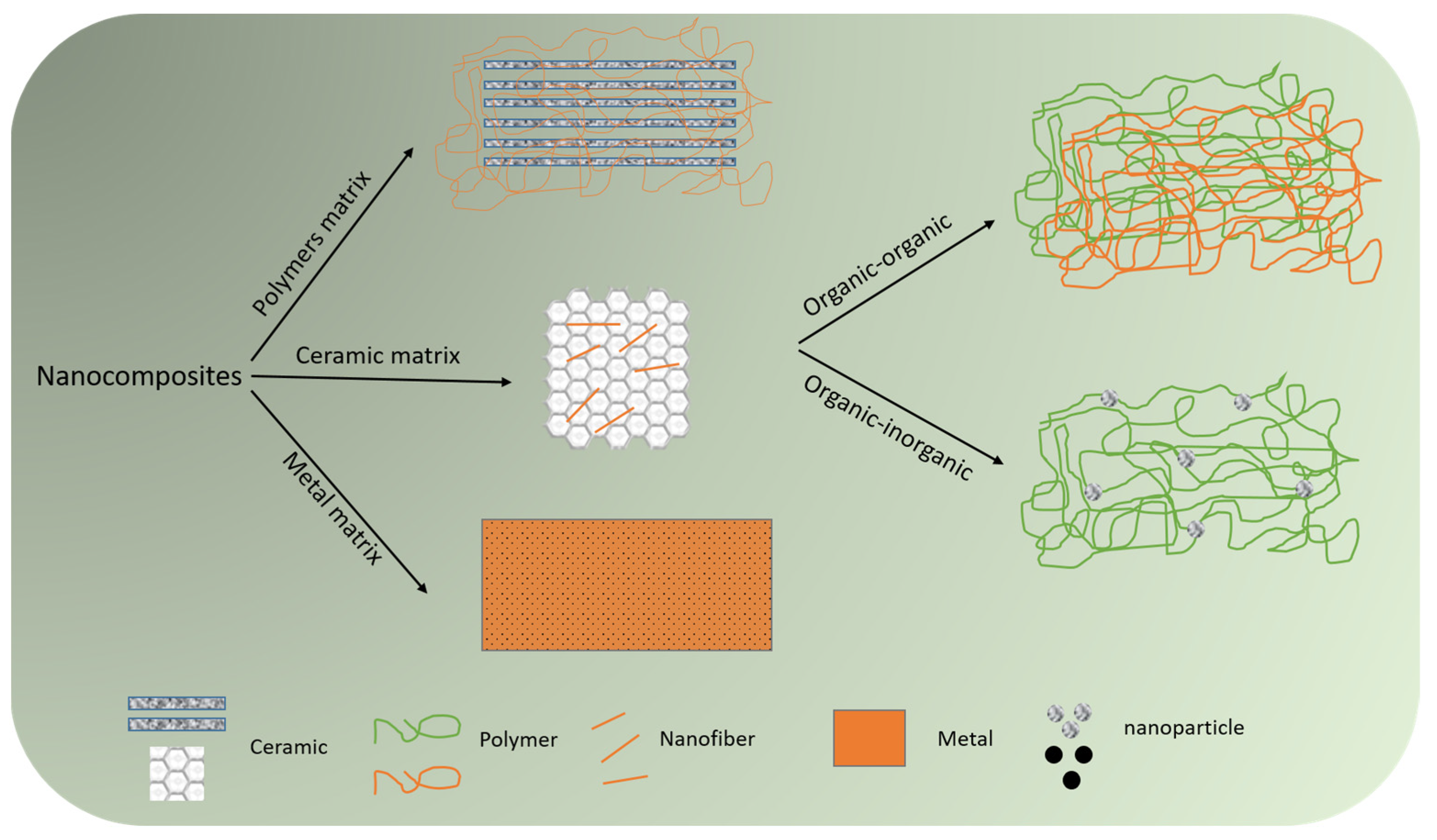 Nanomaterials 14 00004 g003