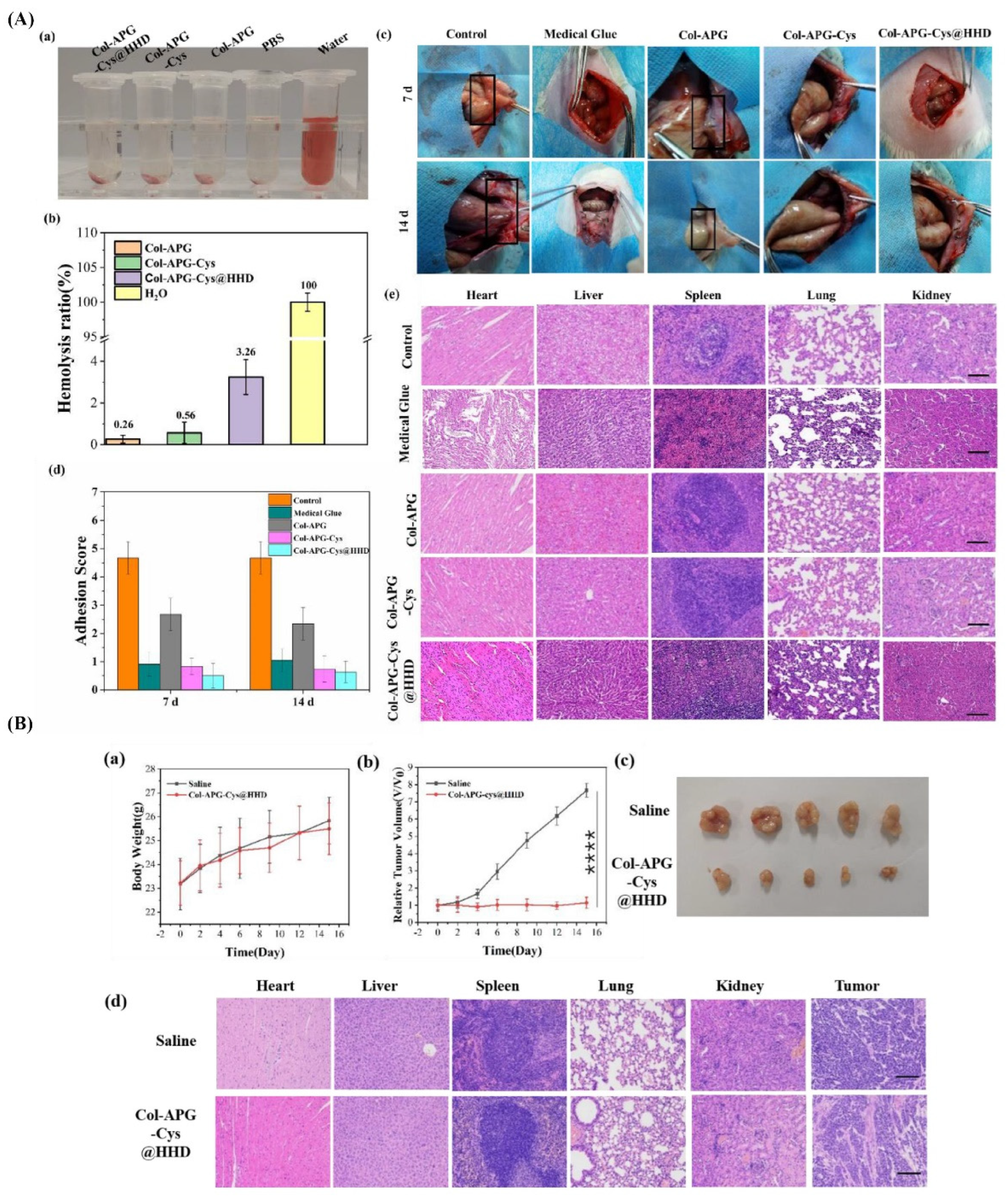 Nanomaterials 14 00004 g004