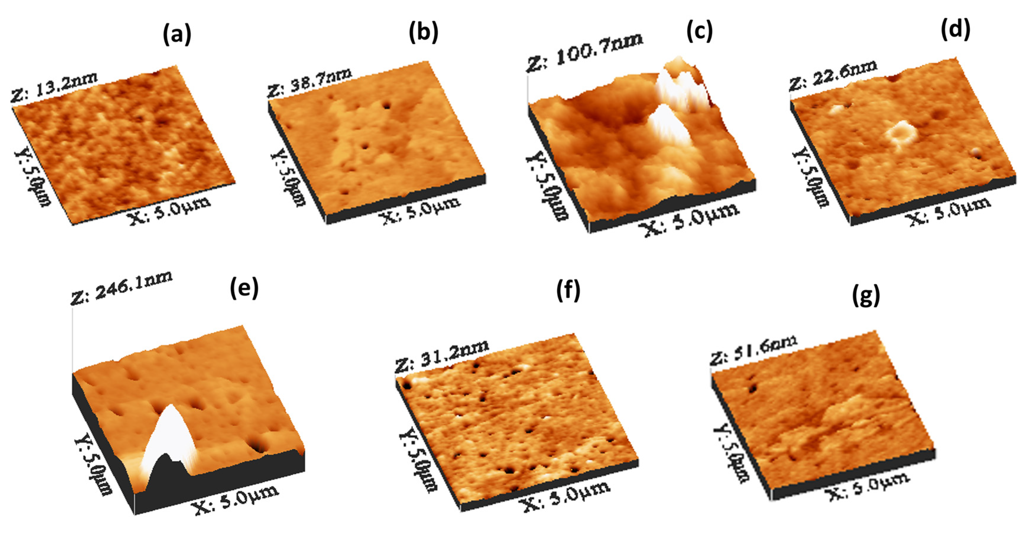 Nanomaterials 14 00005 g005