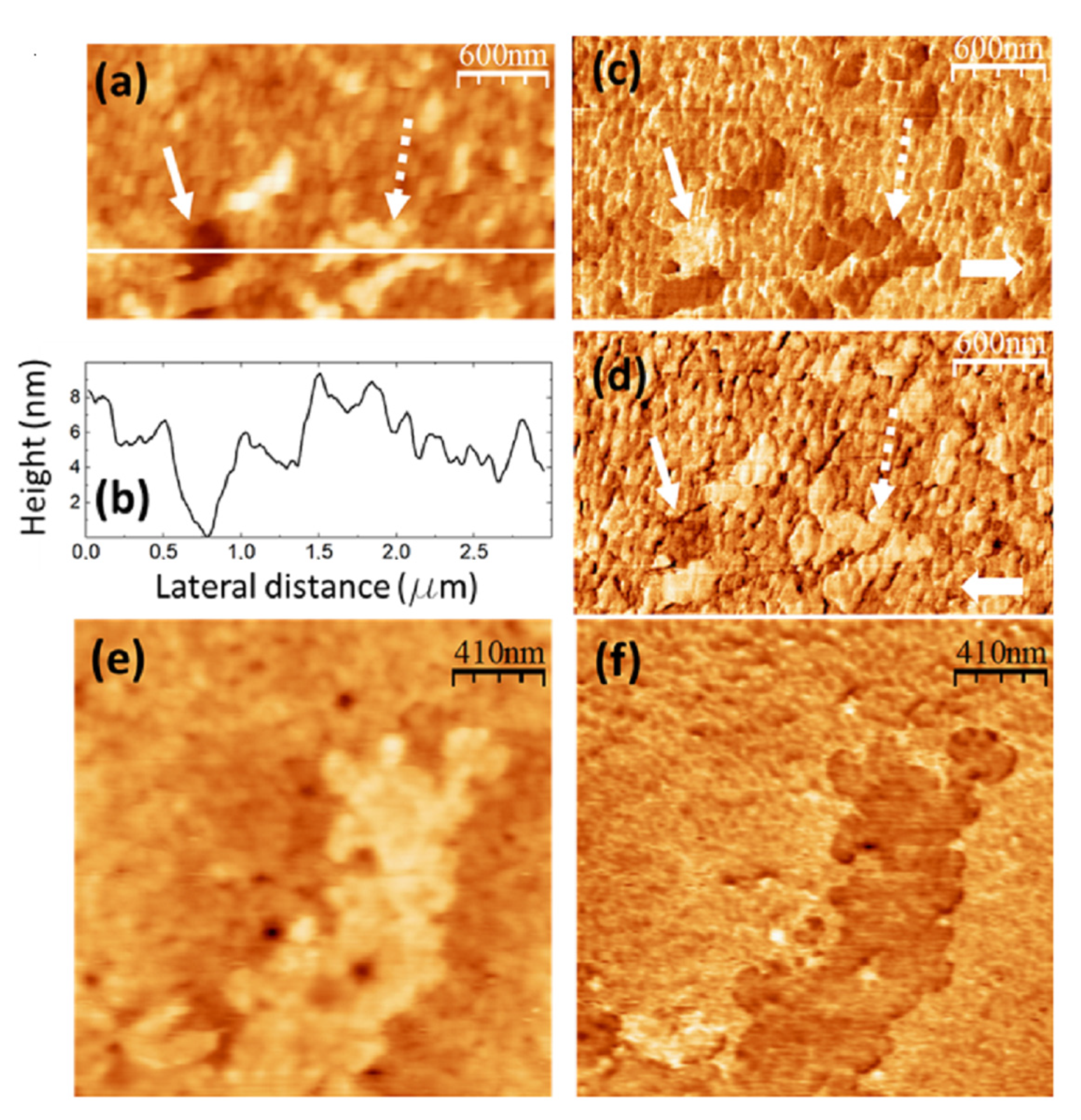 Nanomaterials 14 00005 g009