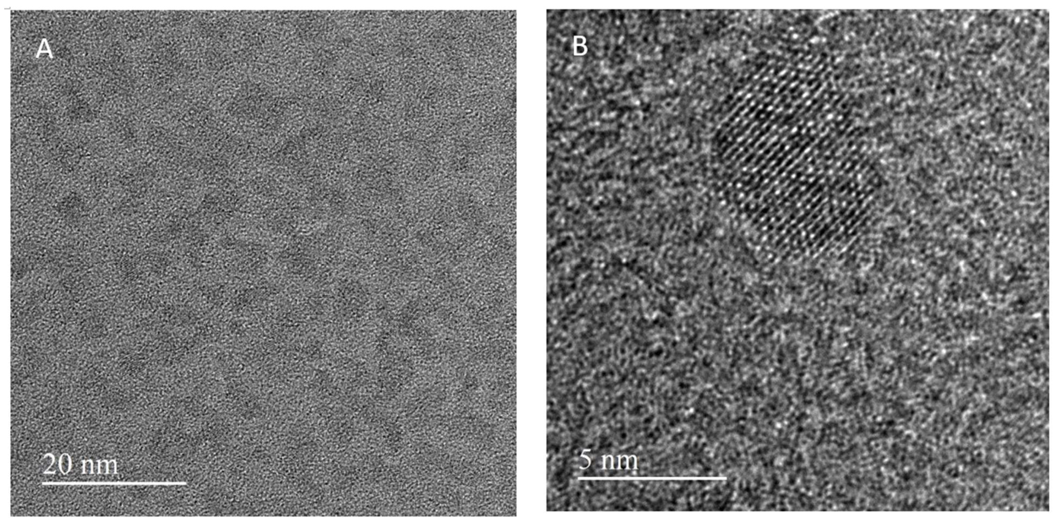 Nanomaterials 14 00010 g004
