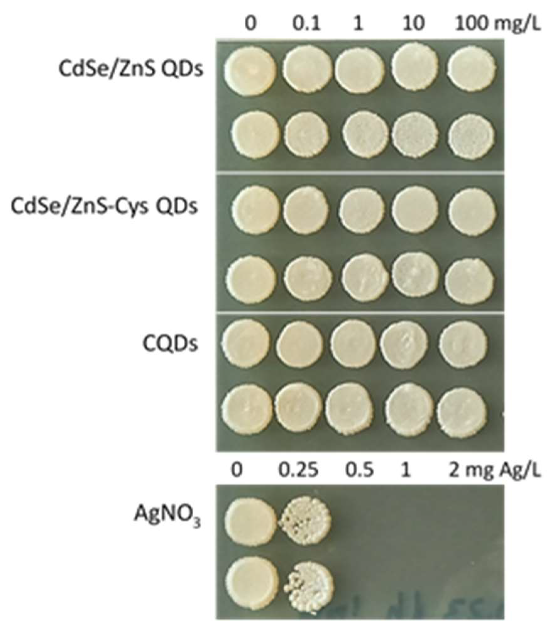 Nanomaterials 14 00010 g007