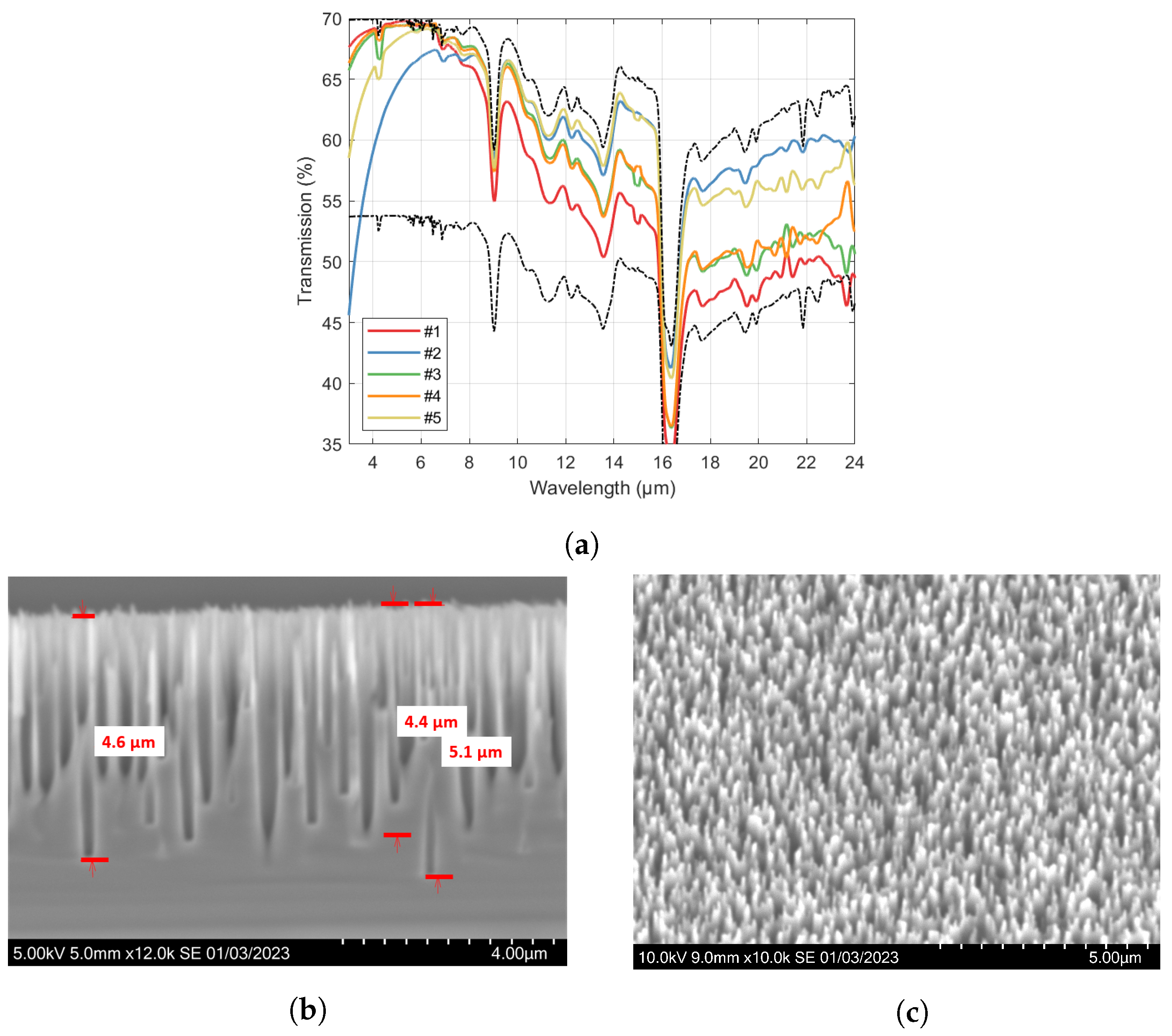 Nanomaterials 14 00020 g004
