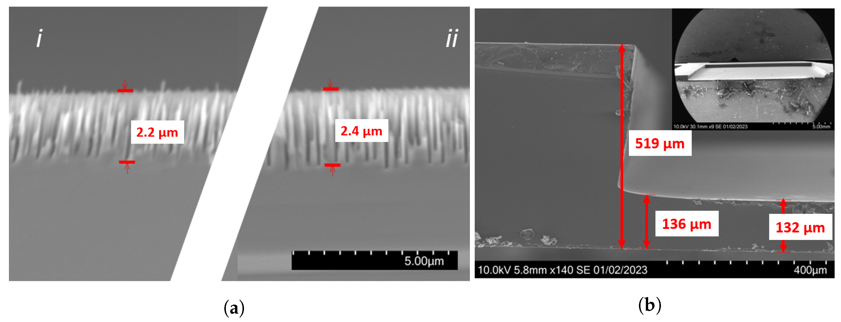 Nanomaterials 14 00020 g008
