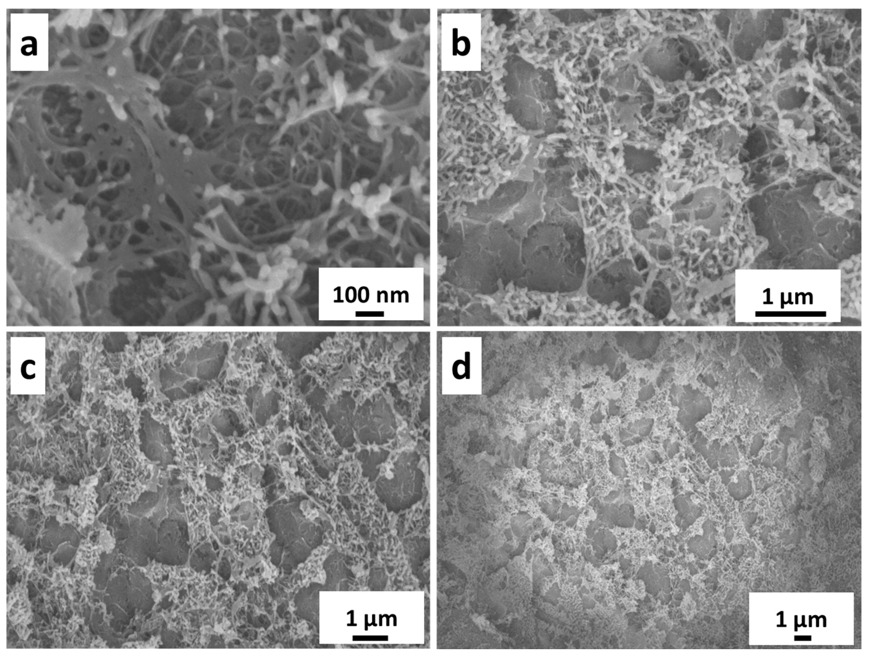 Nanomaterials 14 00023 g002
