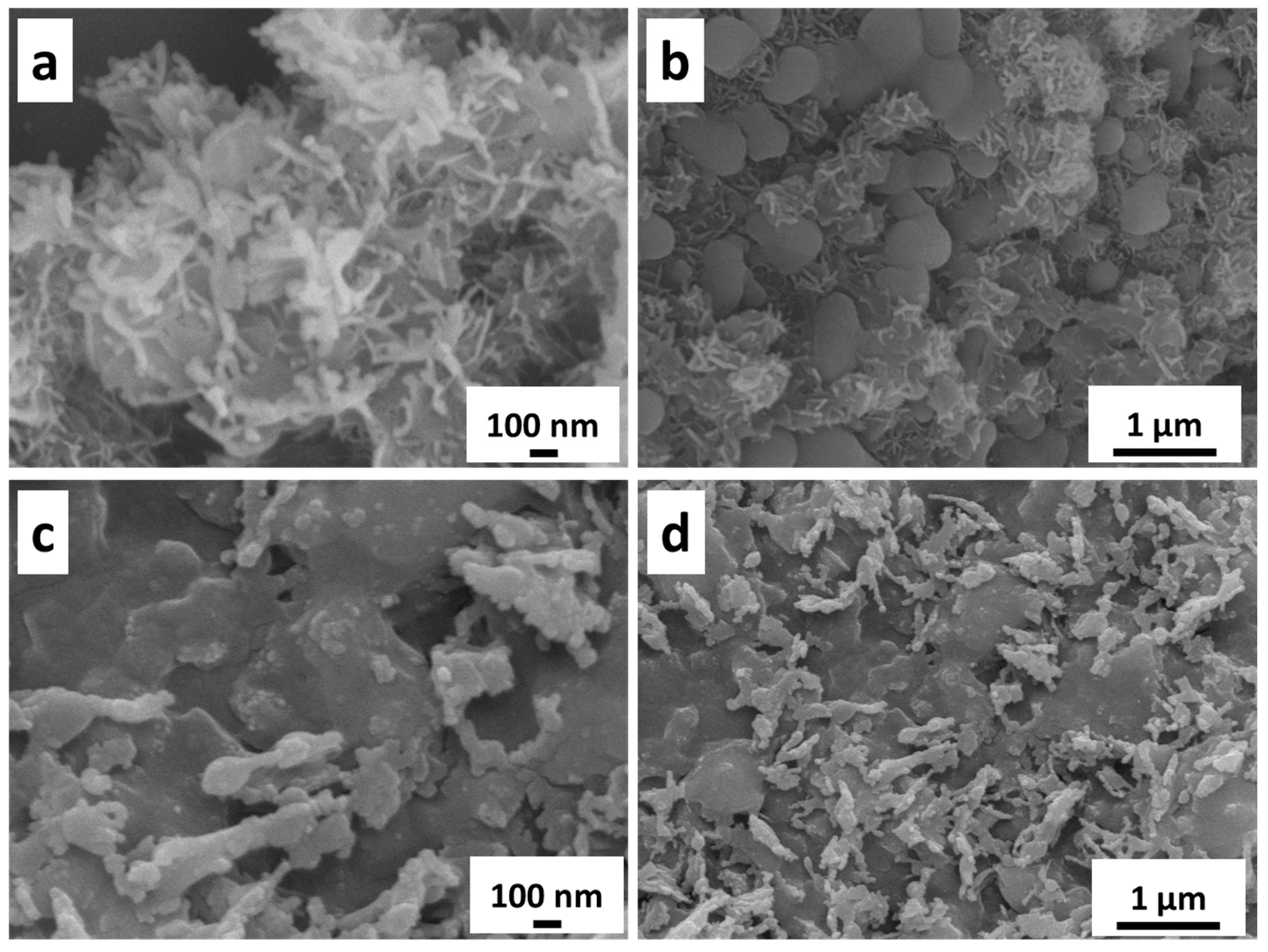 Nanomaterials 14 00023 g003