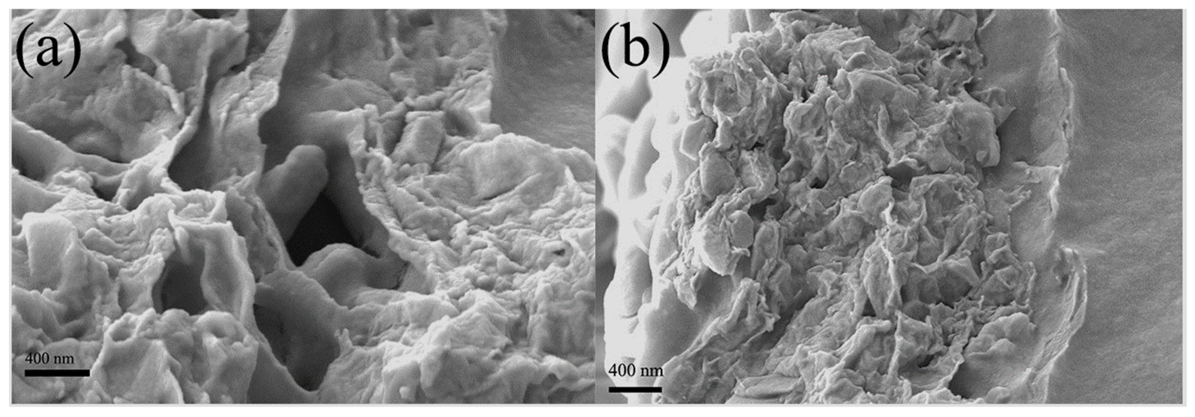 Nanomaterials 14 00024 g004