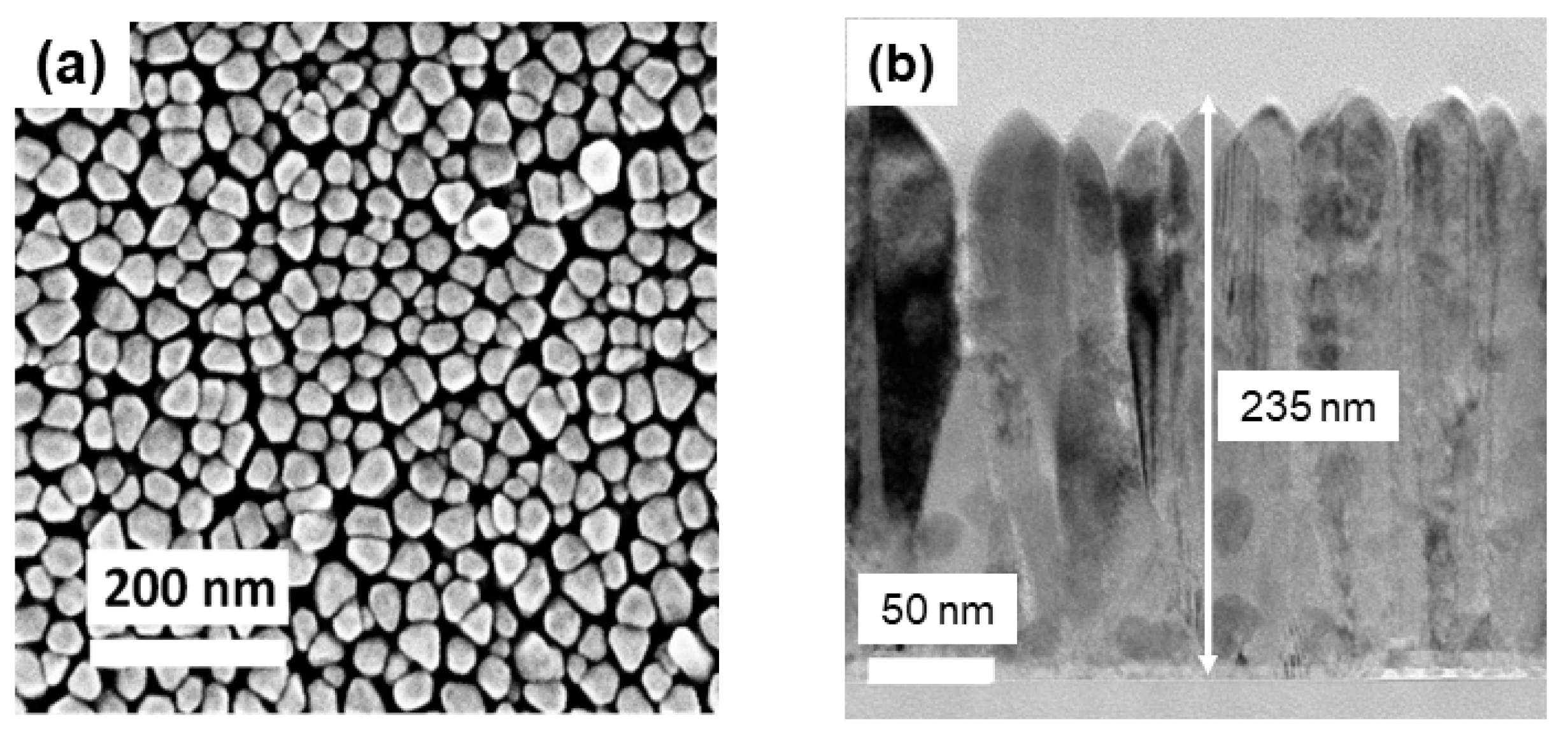 Nanomaterials 14 00026 g004