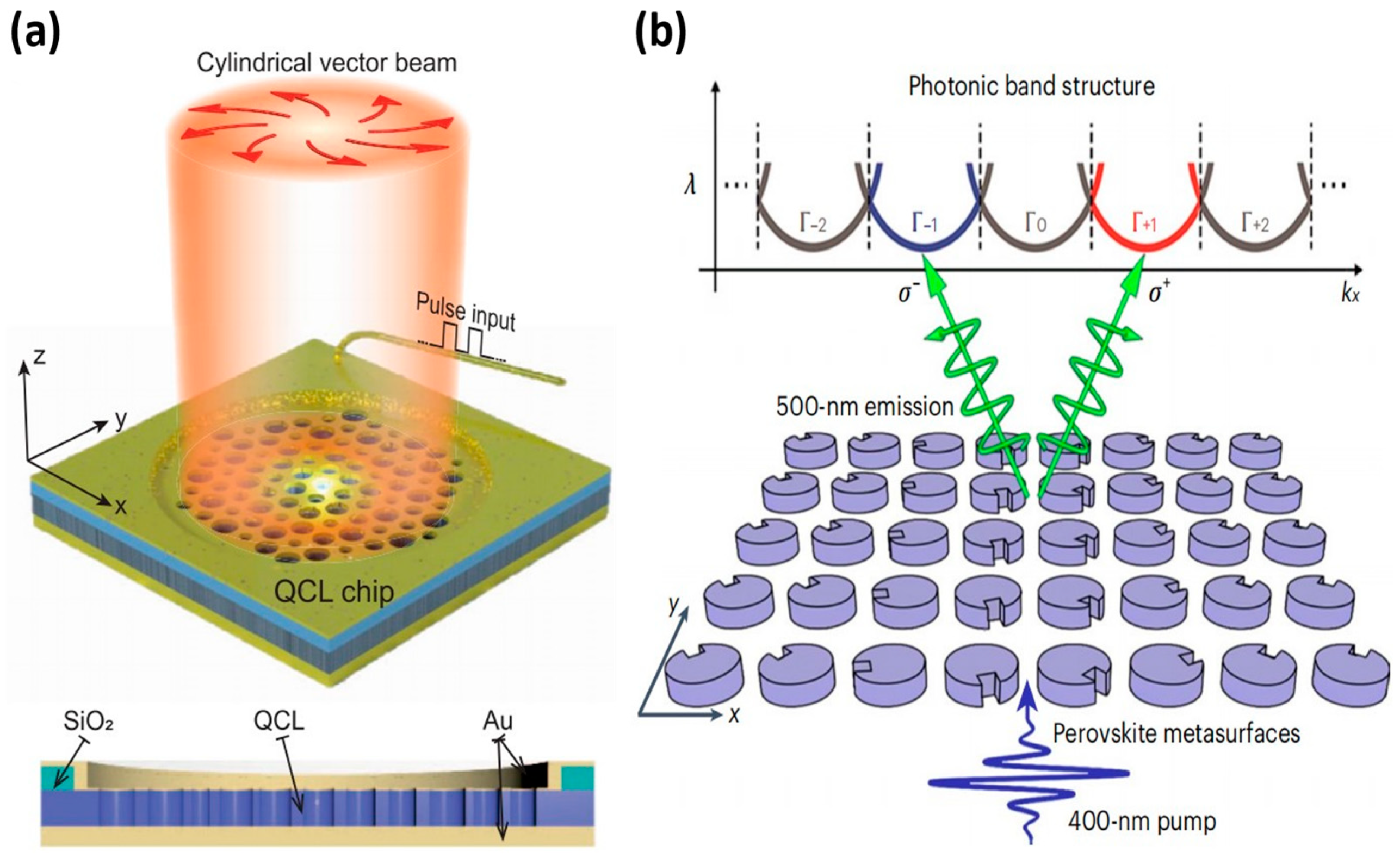 Nanomaterials 14 00028 g003