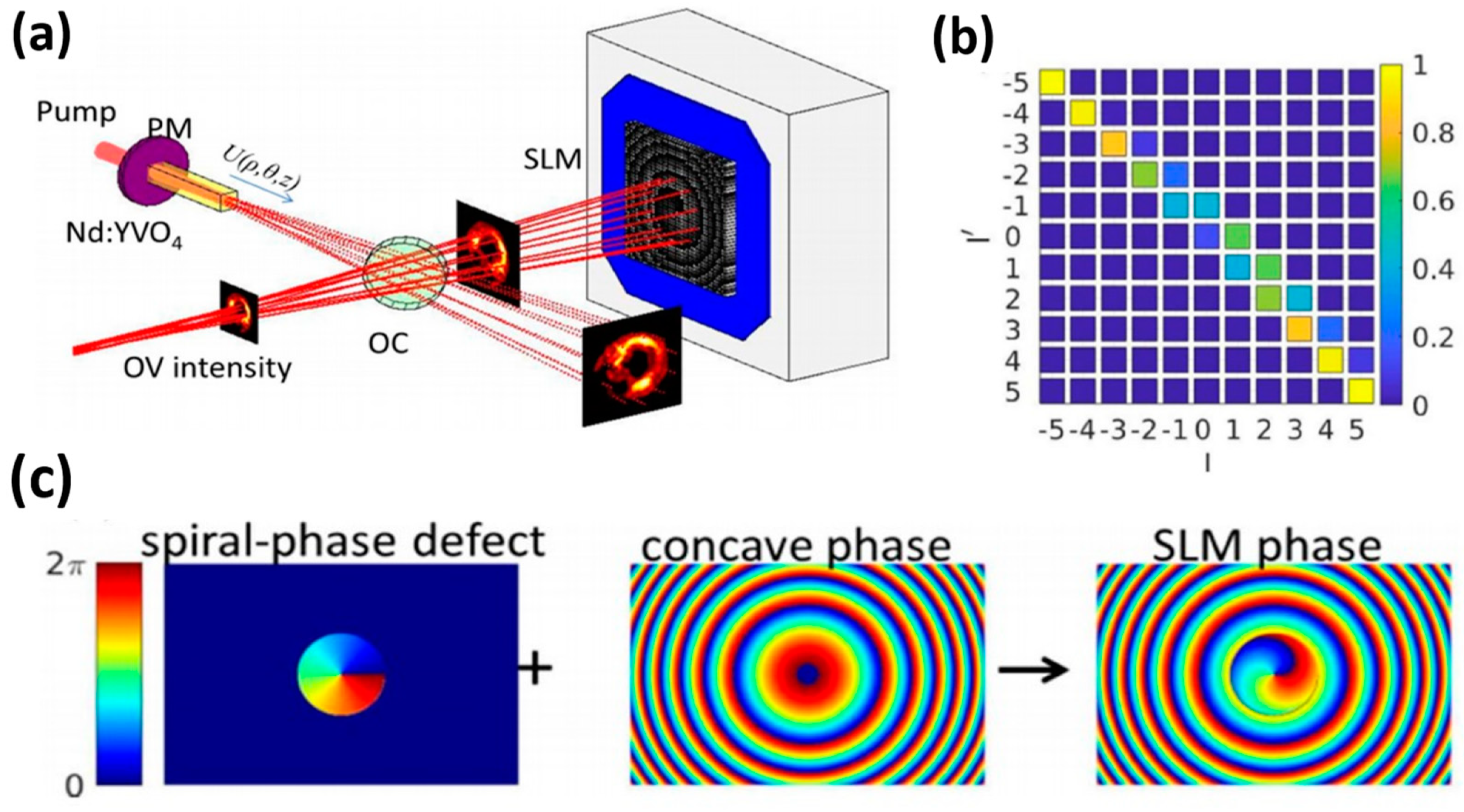 Nanomaterials 14 00028 g004