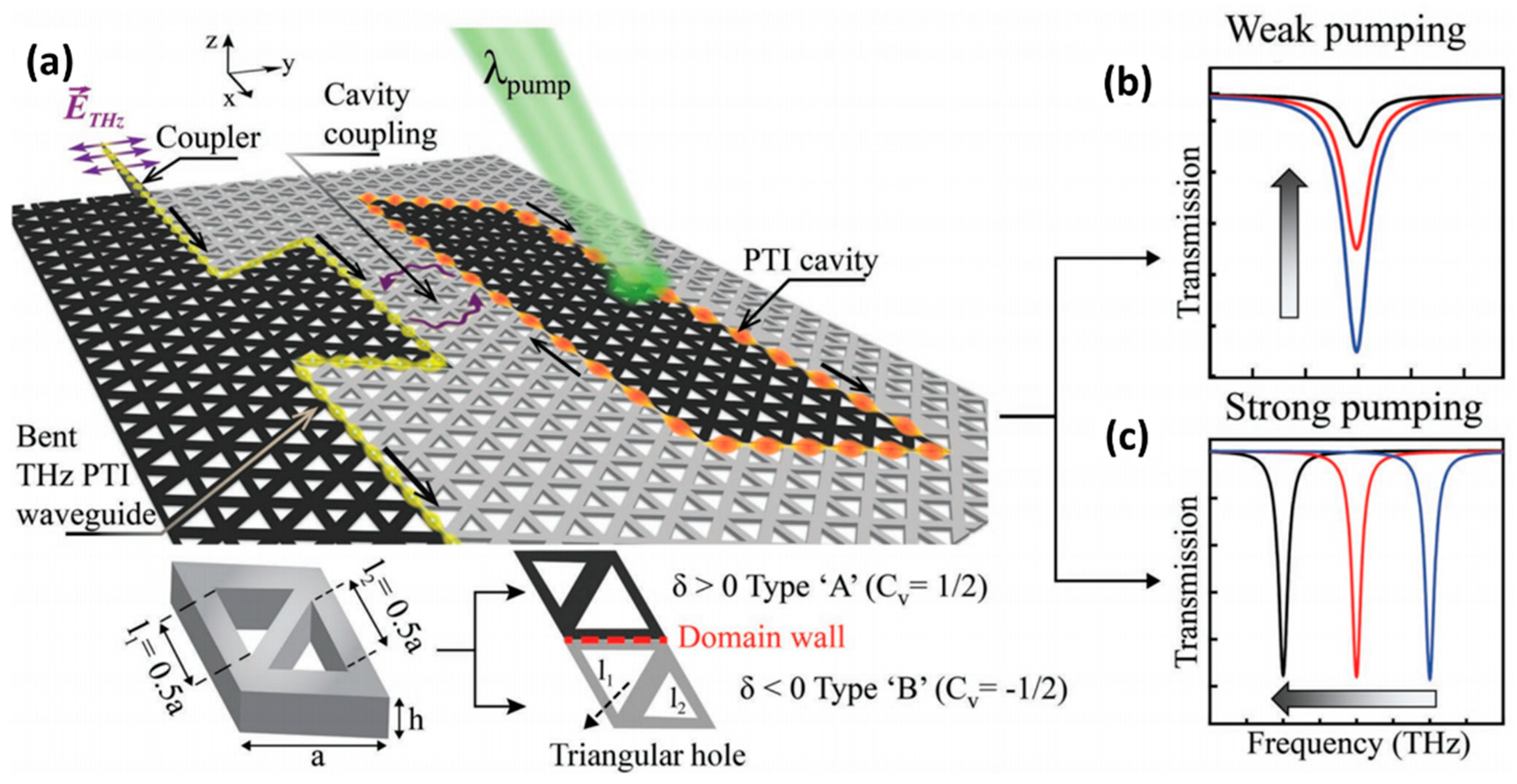 Nanomaterials 14 00028 g010