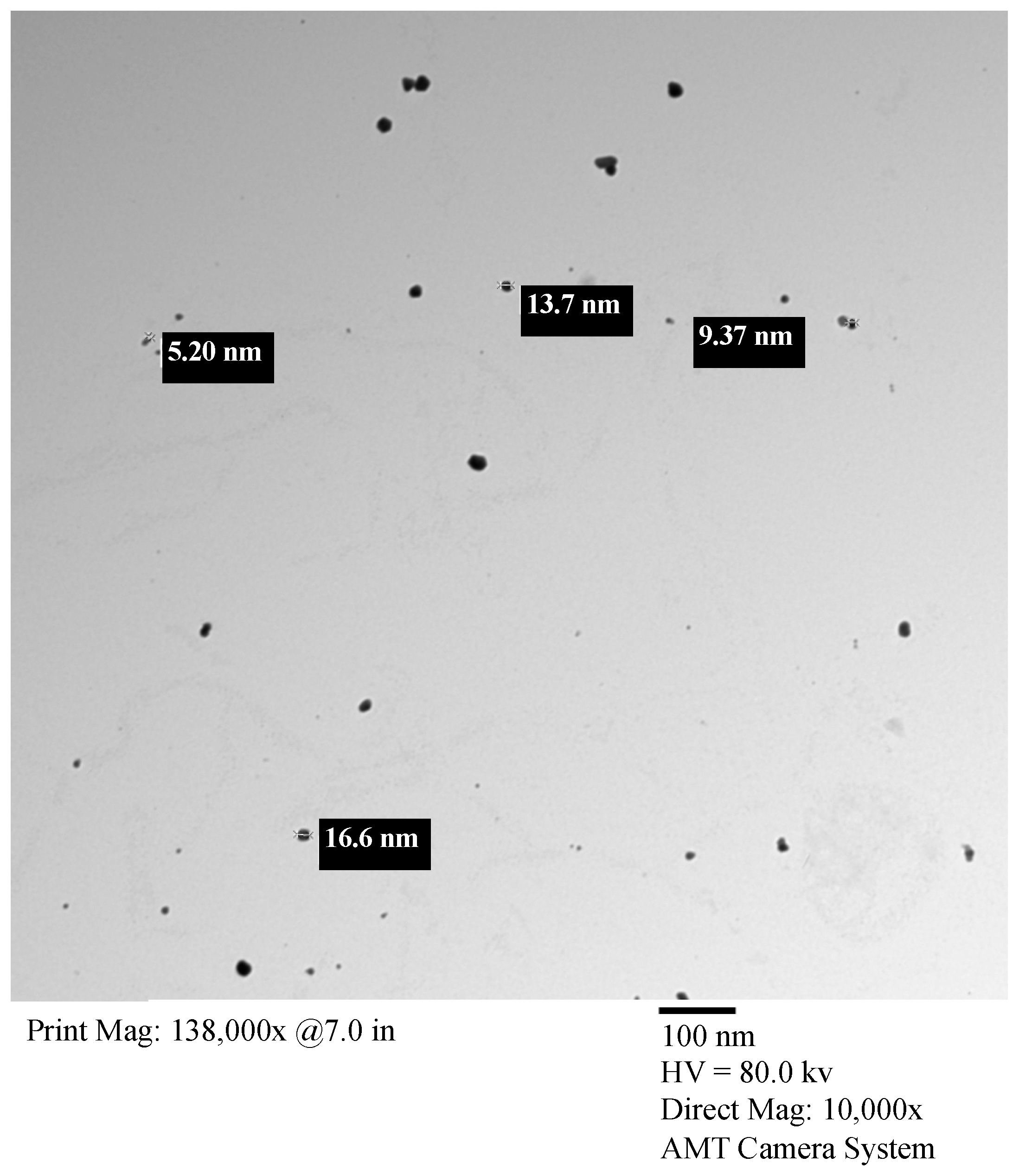 Nanomaterials 14 00029 g002