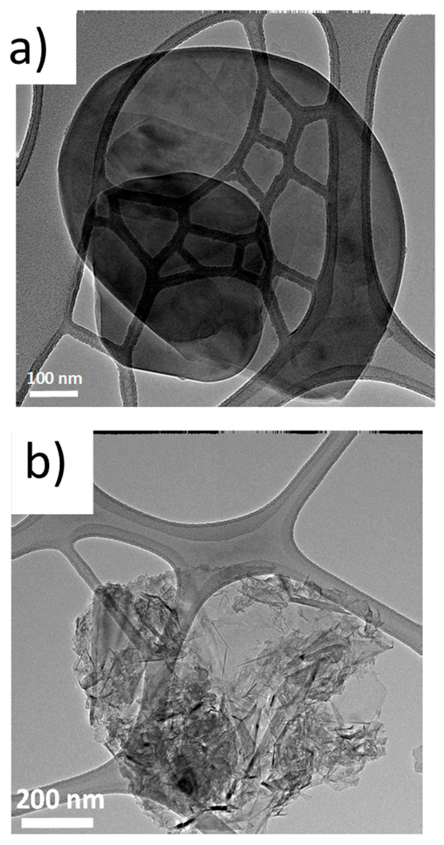 Nanomaterials 14 00030 g006