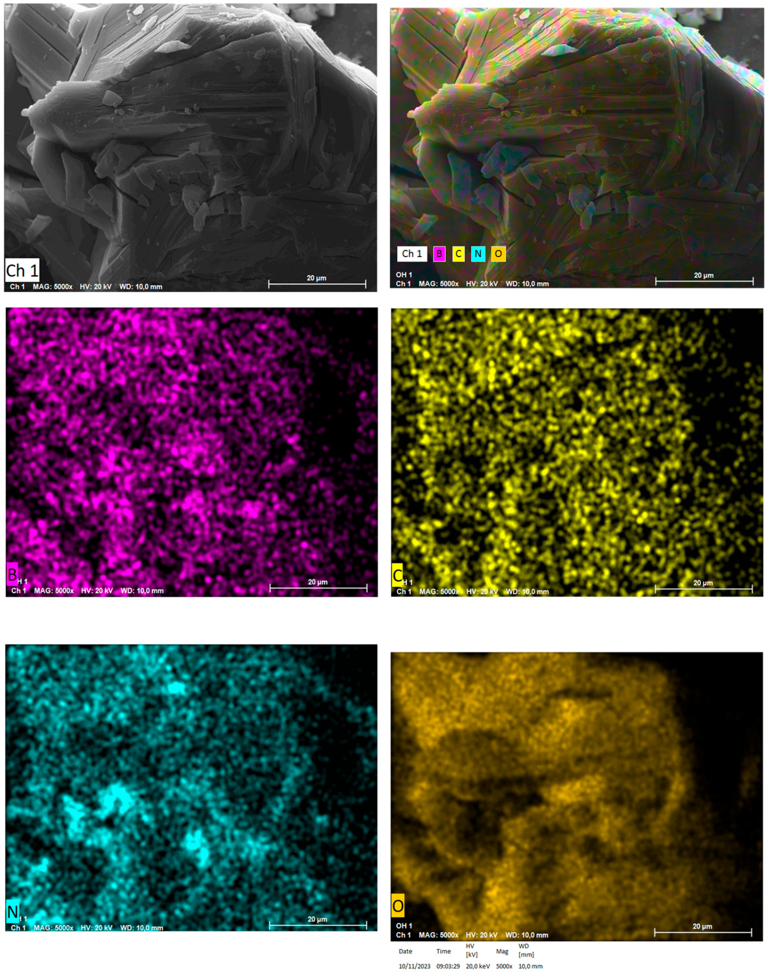 Nanomaterials 14 00030 g010