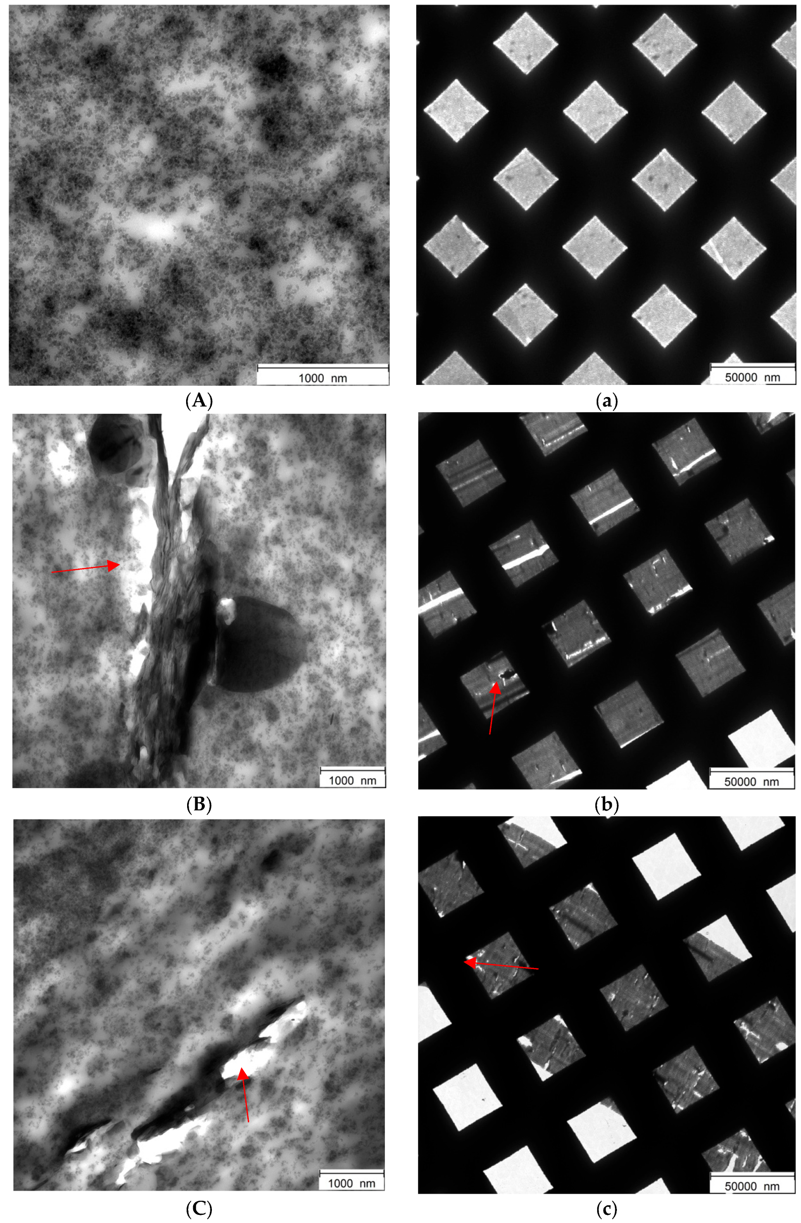 Nanomaterials 14 00030 g016a
