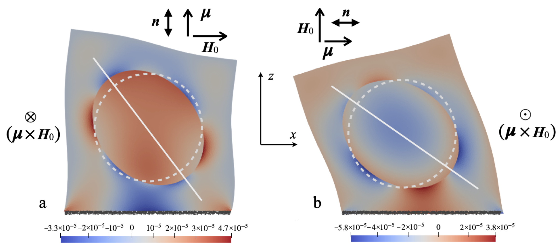 Nanomaterials 14 00031 g001
