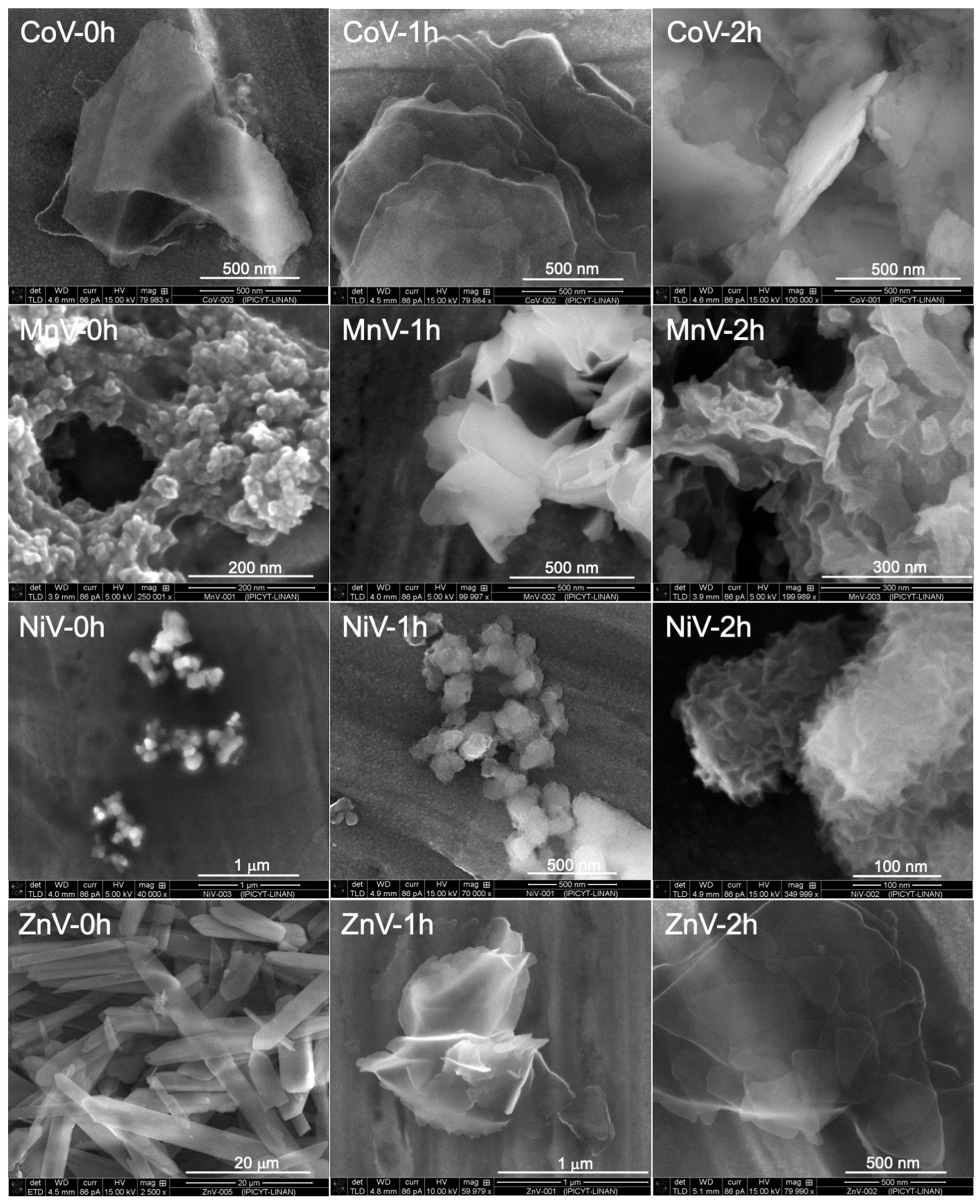 Nanomaterials 14 00038 g002
