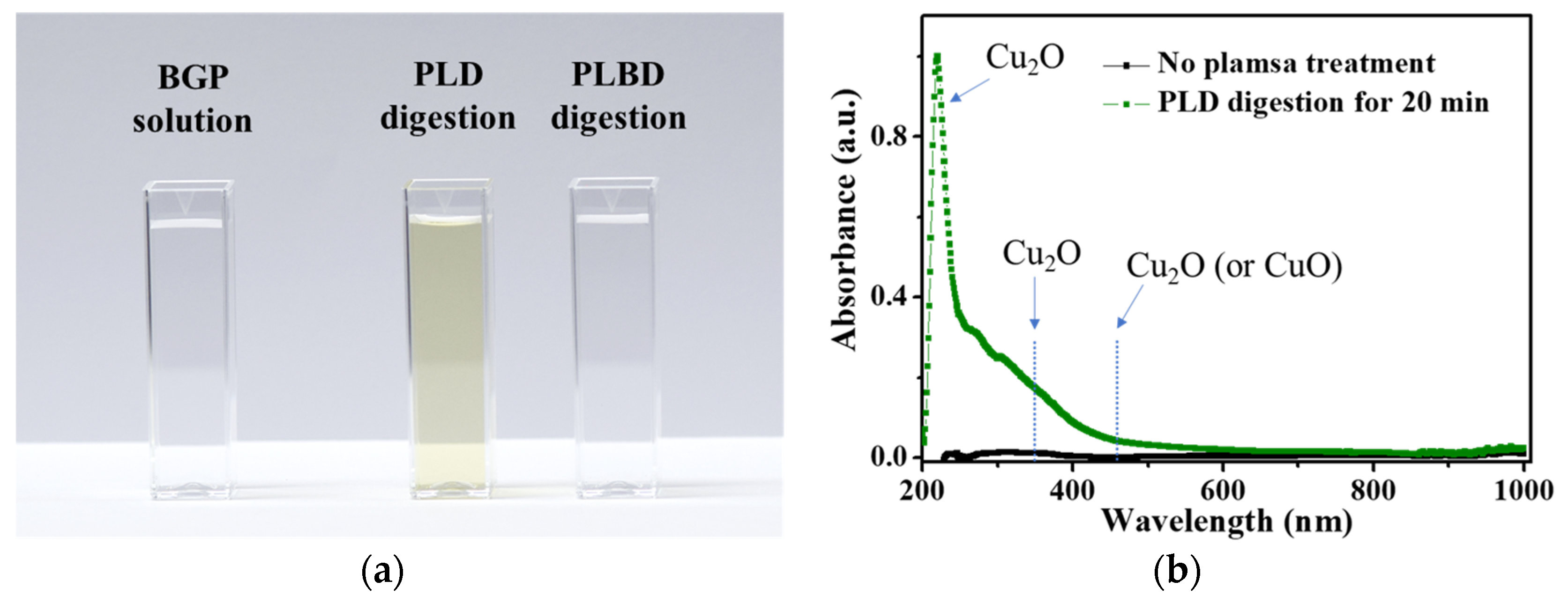 Nanomaterials 14 00040 g010